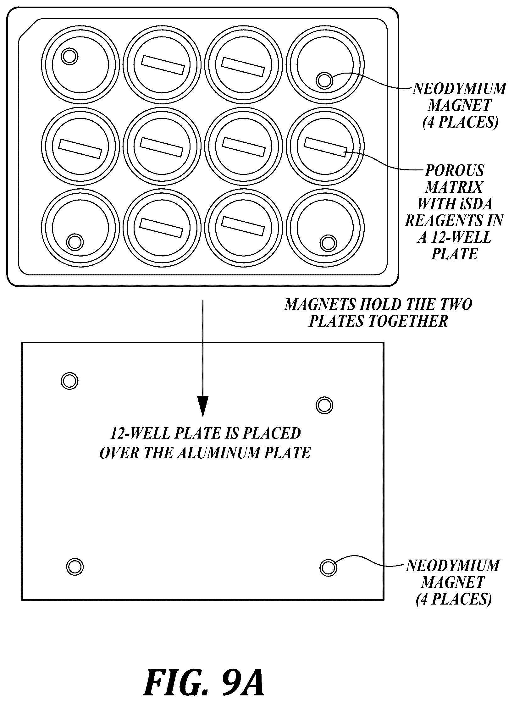 Patent US12611668 Figure 19 – Long-term dry storage of enzyme-based reagents in a porous matrix