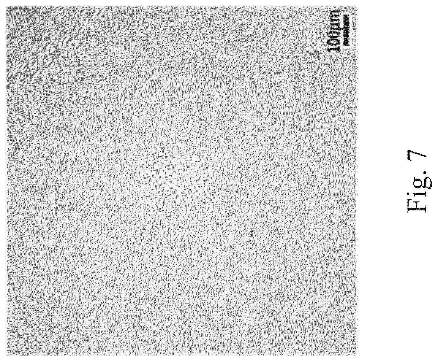 Patent US12611713 Figure 5 – Non-destructive testing method for crack defects, and a testing standard part and a manufacturing method thereof