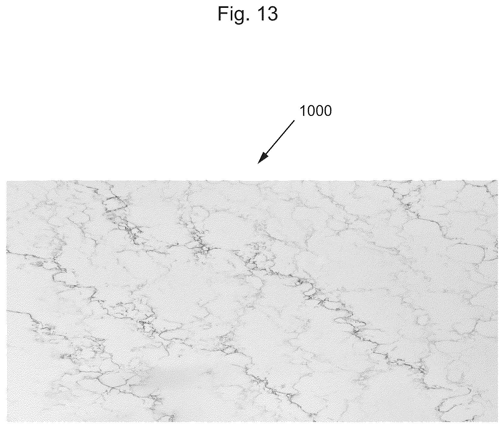 Patent US12611794 Figure 13 – Method and apparatus for producing engineered stone slabs