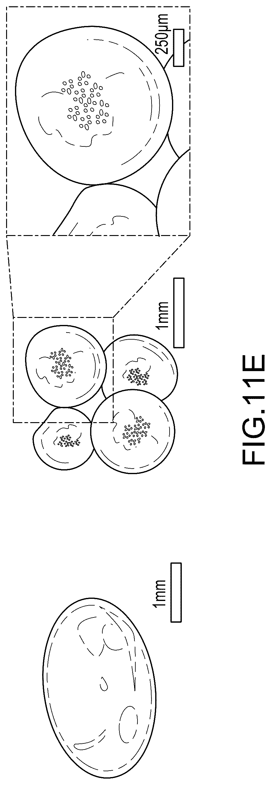 Patent US12611814 Figure 19 – Acoustic levitation-assisted contactless droplet printing