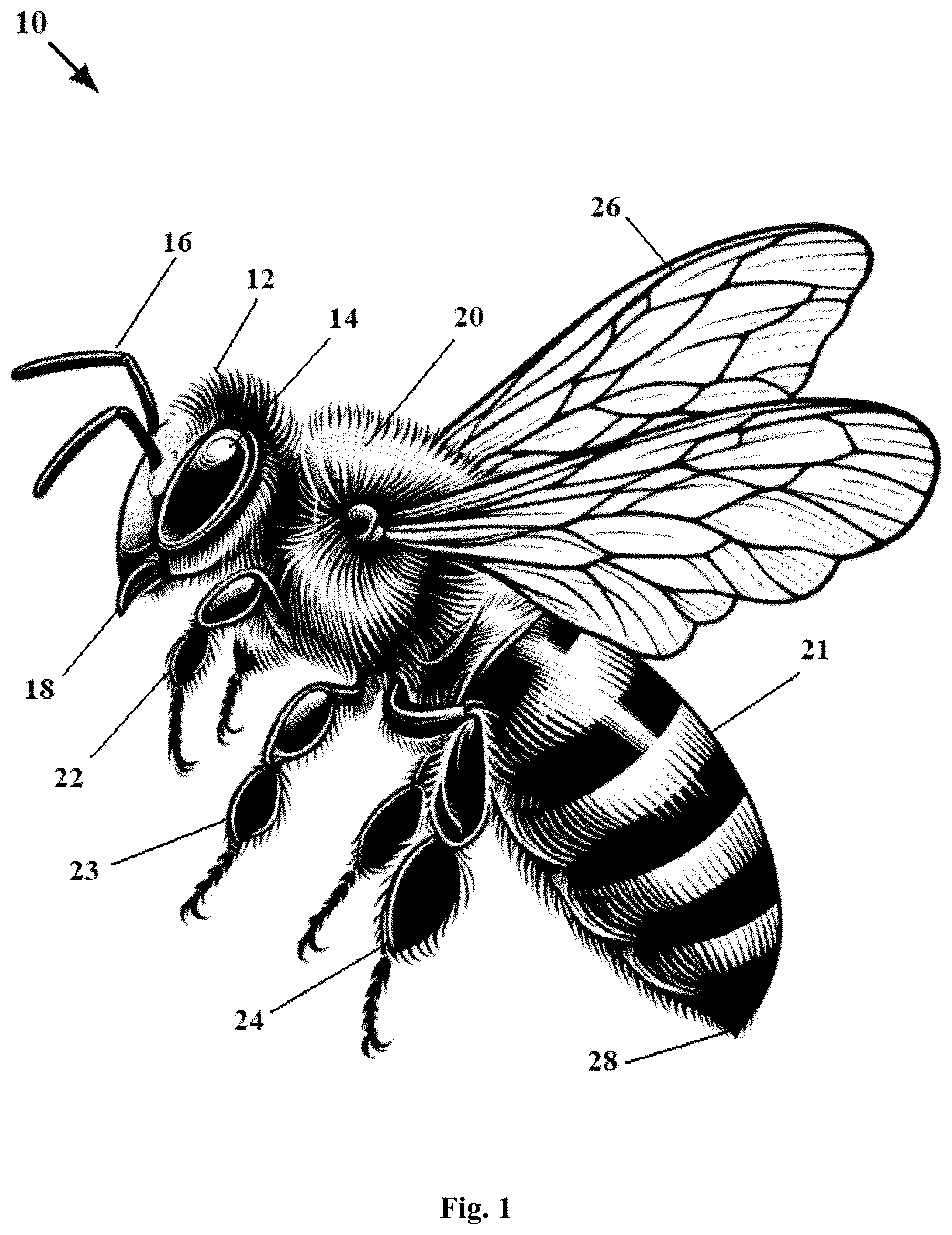 Patent US12612192 Figure 1 – Robotic bees and mantis and insect-like robots with embodied artificial intelligence