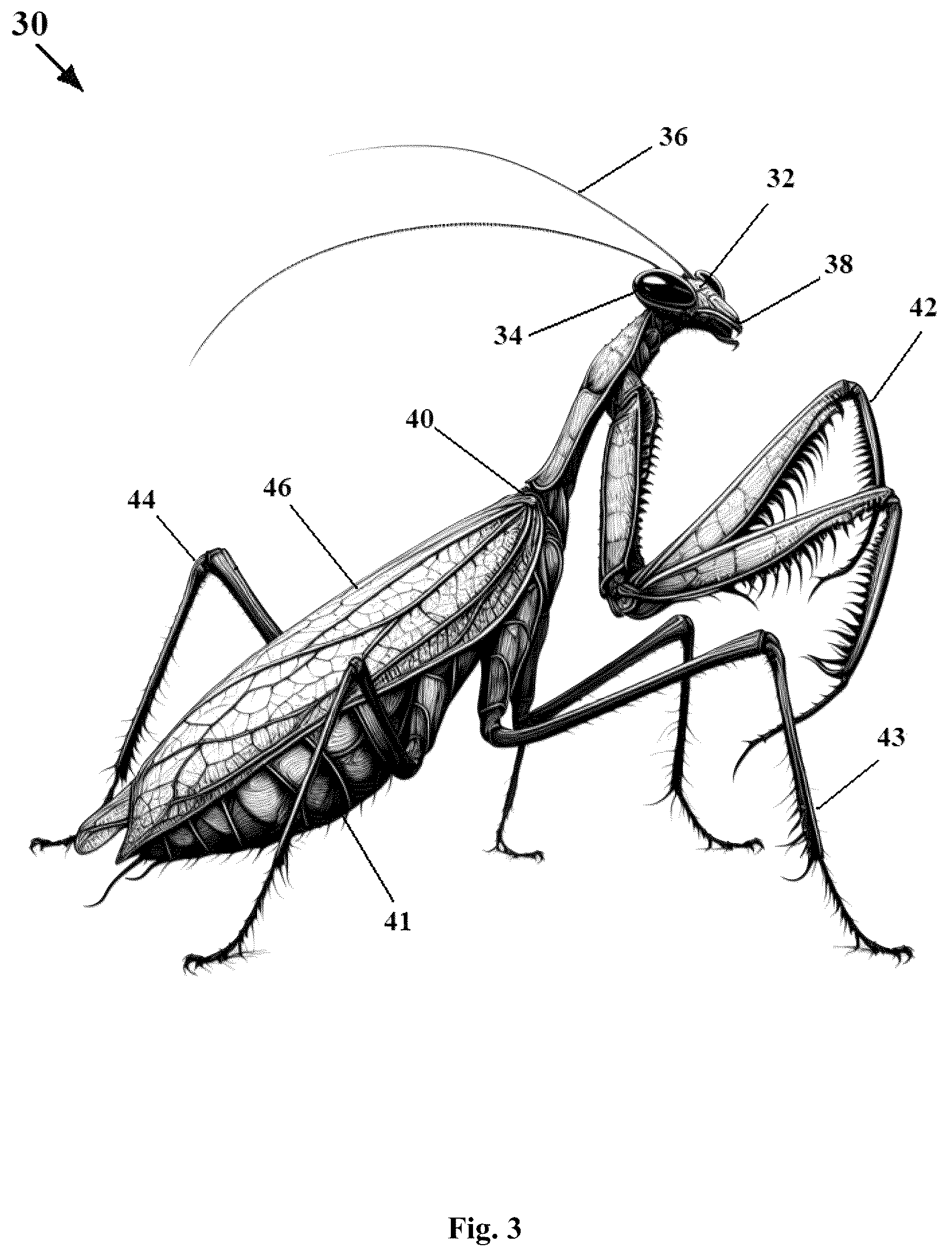 Patent US12612192 Figure 3 – Robotic bees and mantis and insect-like robots with embodied artificial intelligence