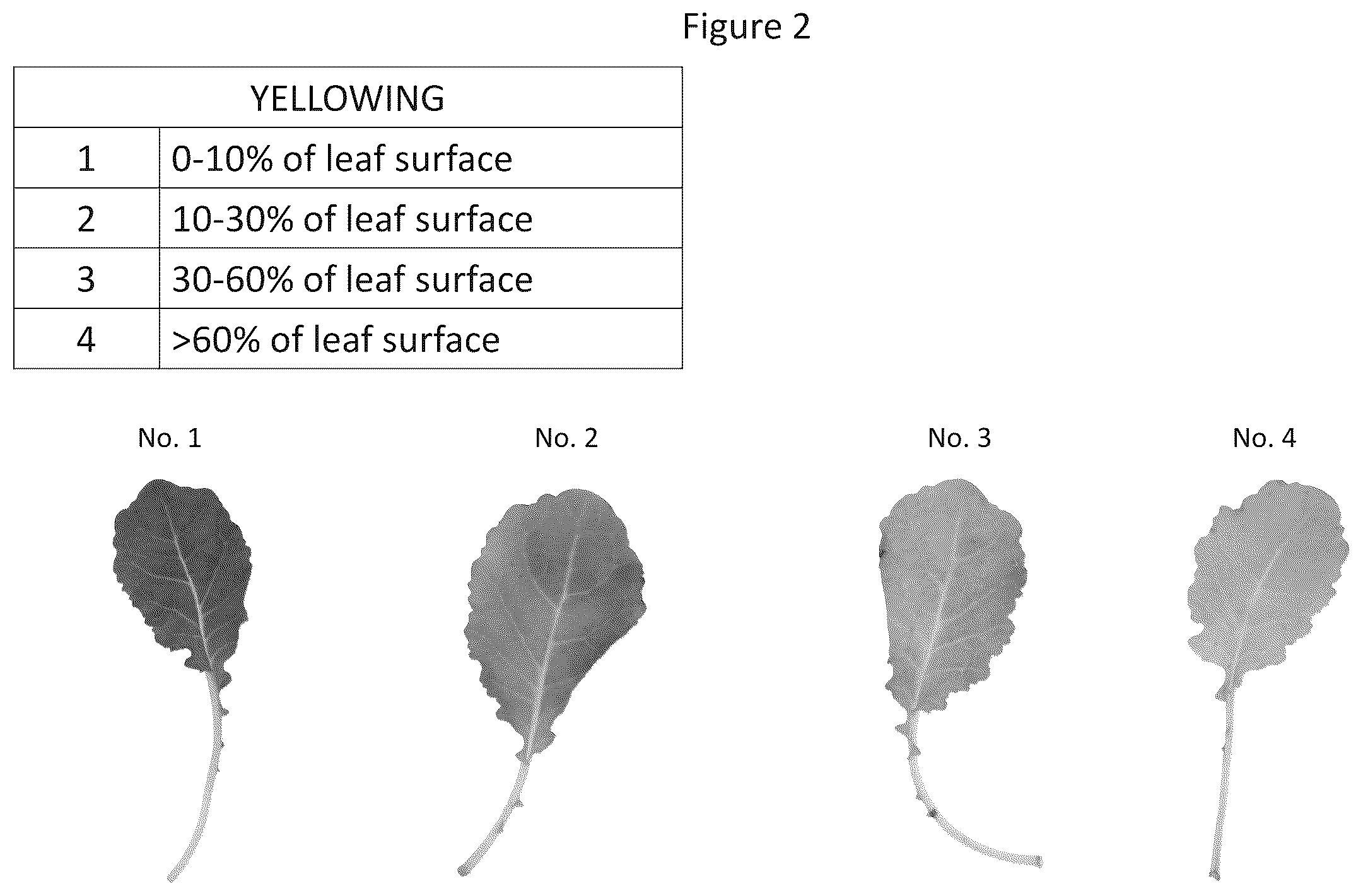 Patent US12612203 Figure 2 – Storage and/or transportation of produce, flowers and plants