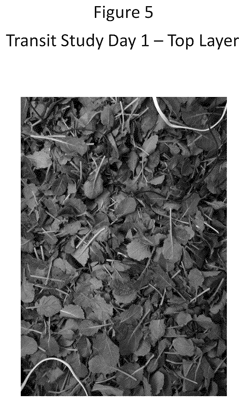 Patent US12612203 Figure 5 – Storage and/or transportation of produce, flowers and plants