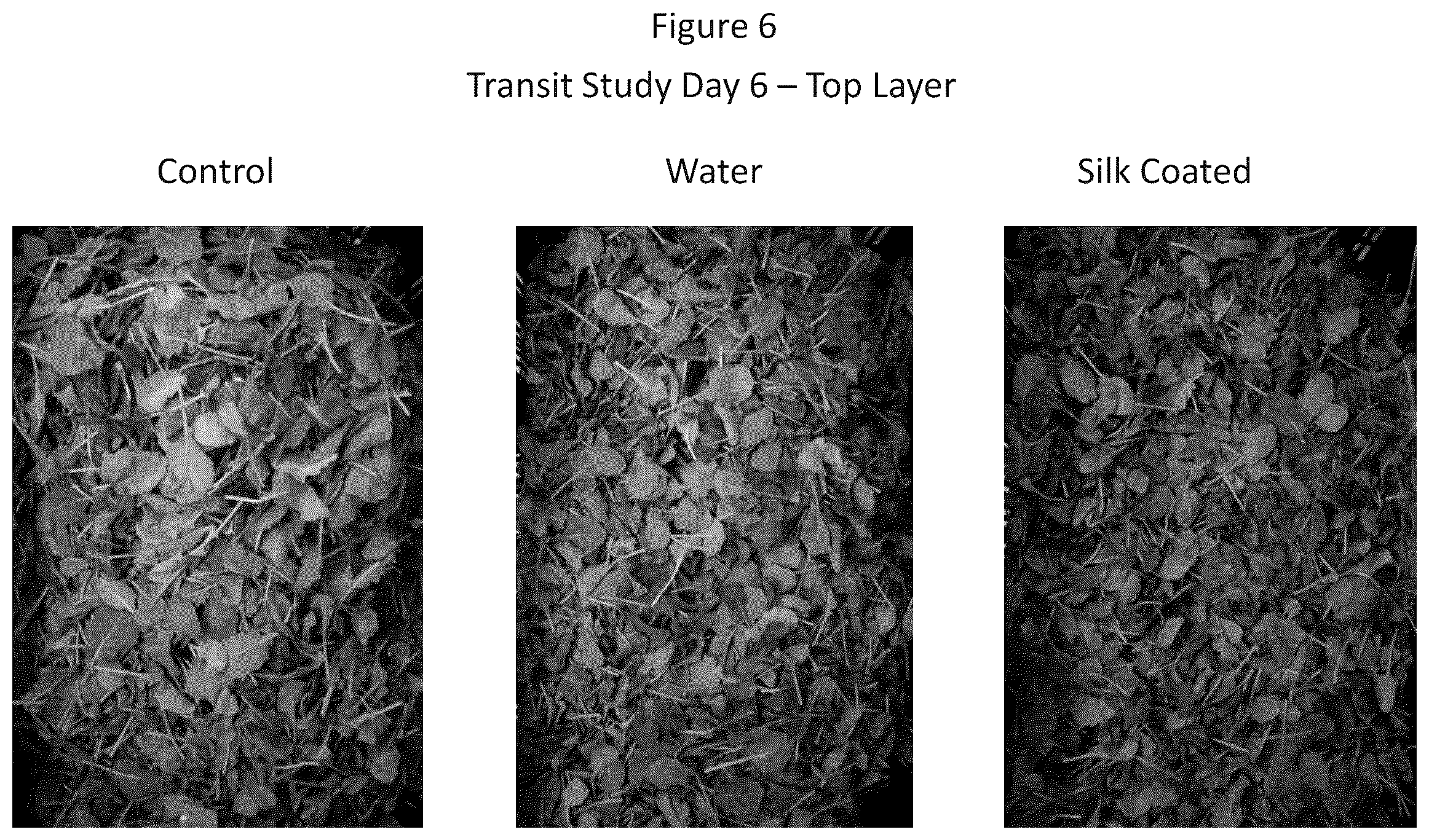 Patent US12612203 Figure 6 – Storage and/or transportation of produce, flowers and plants
