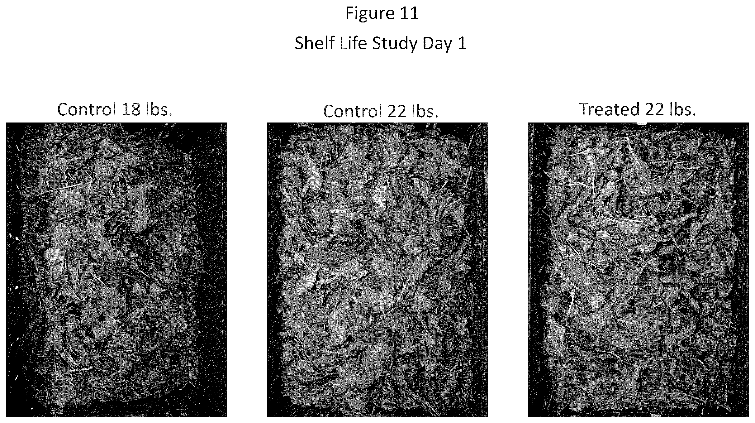 Patent US12612203 Figure 11 – Storage and/or transportation of produce, flowers and plants