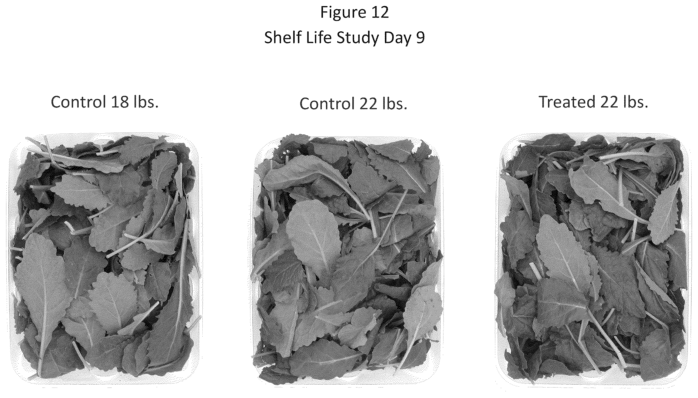 Patent US12612203 Figure 12 – Storage and/or transportation of produce, flowers and plants