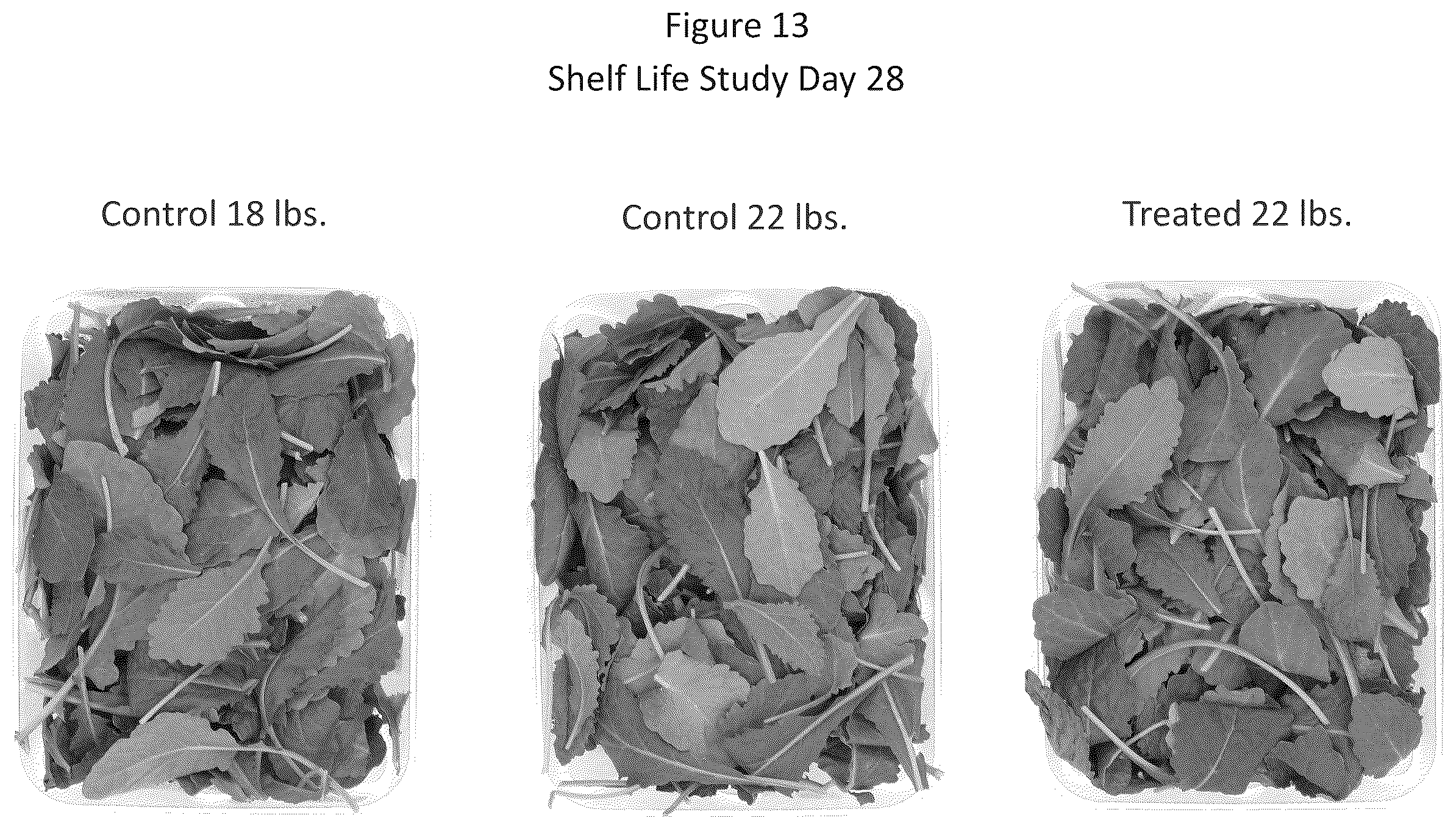 Patent US12612203 Figure 13 – Storage and/or transportation of produce, flowers and plants