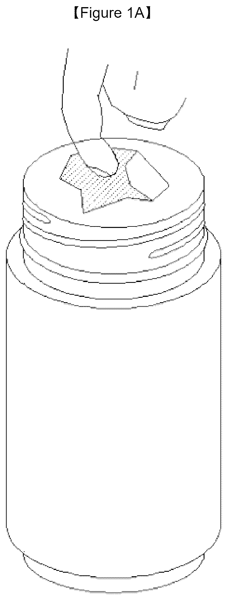 Patent US12612213 Figure 1 – Container sealing body