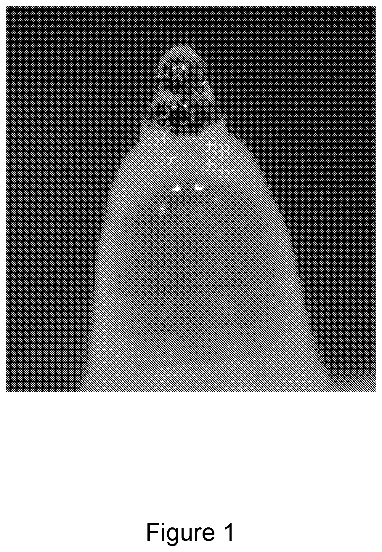 Patent US12612304 — Method for making microneedles using a high viscosity composition — Figure 1