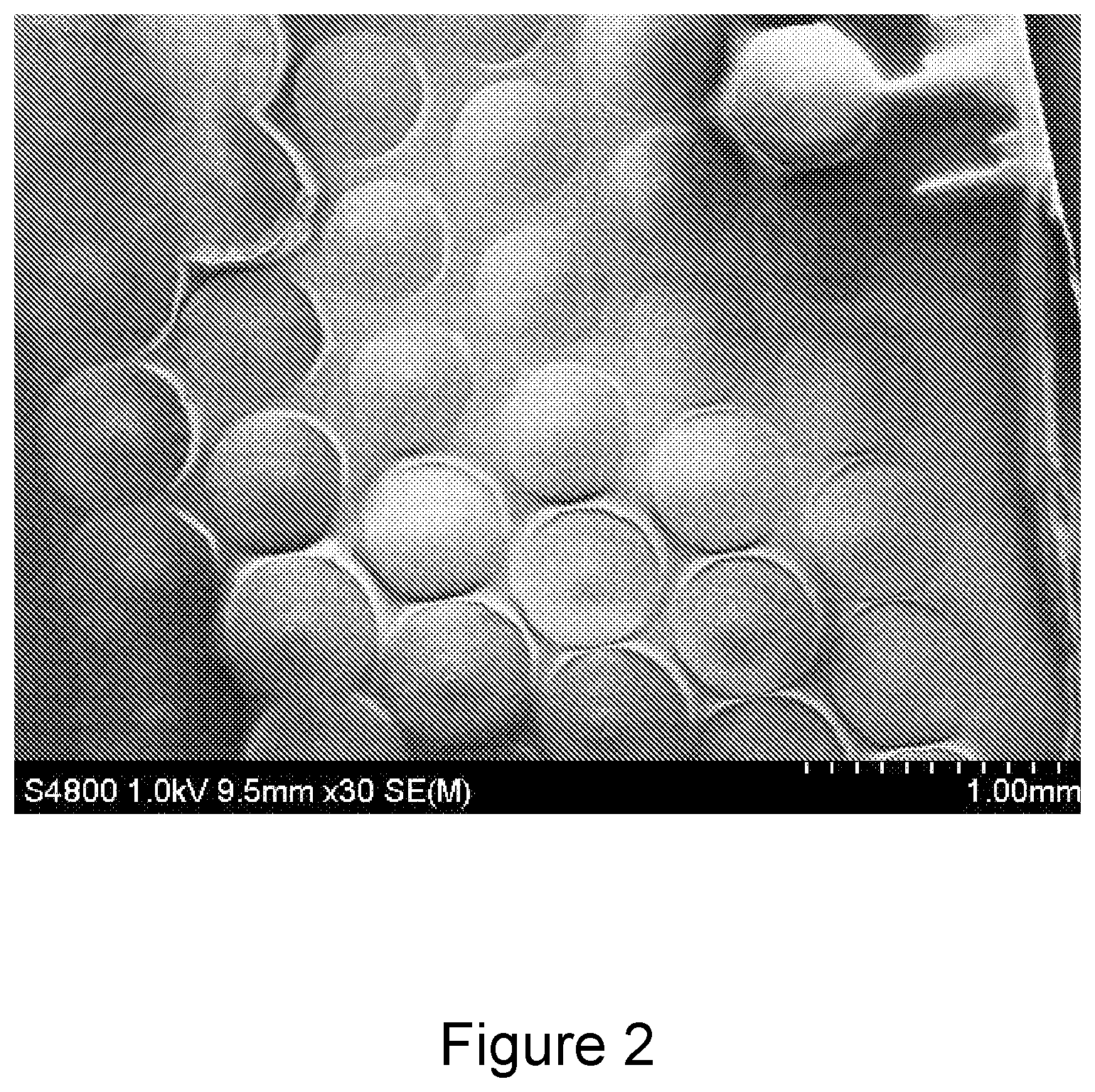 Patent US12612304 Figure 2 – Method for making microneedles using a high viscosity composition
