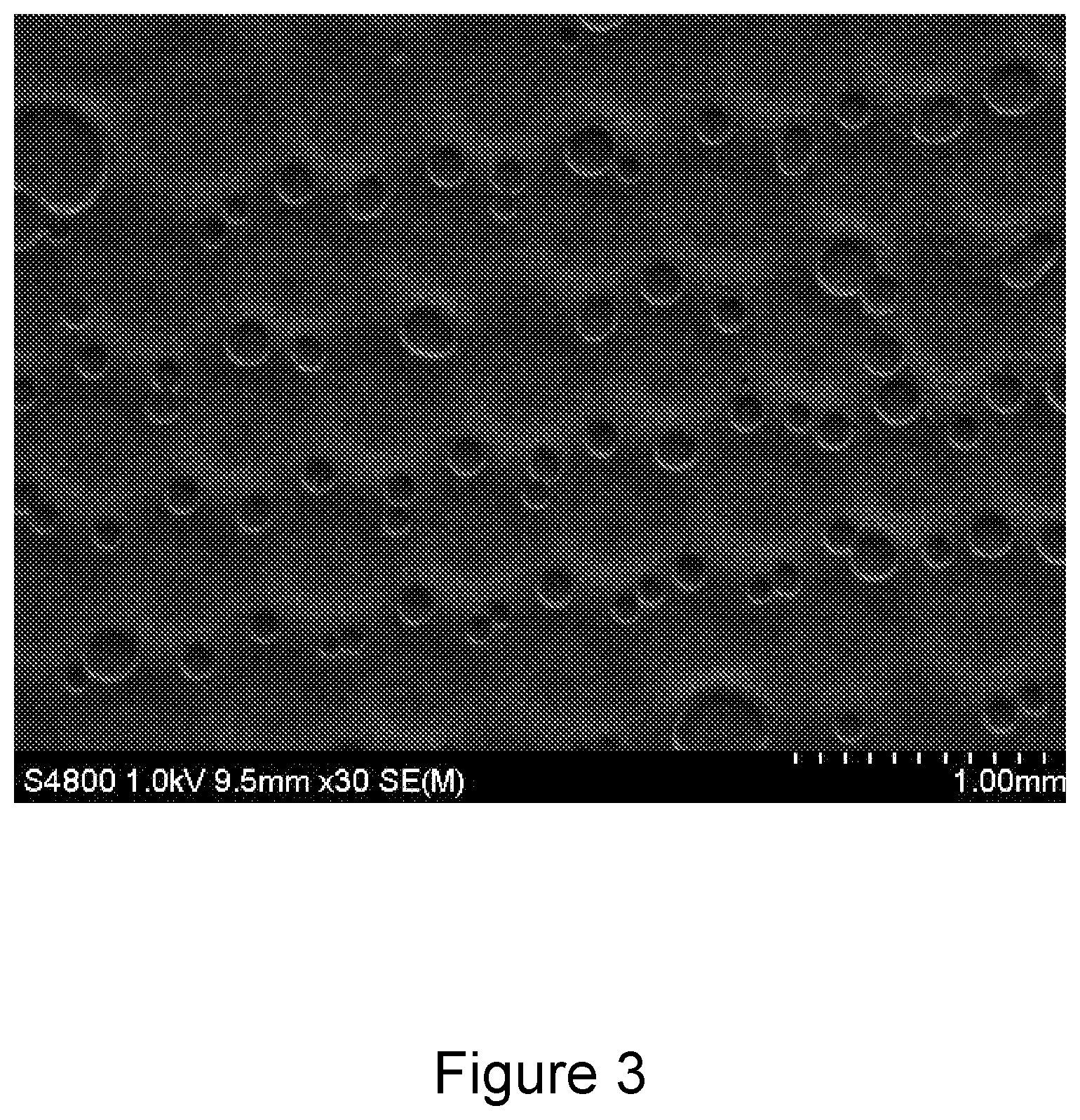 Patent US12612304 Figure 3 – Method for making microneedles using a high viscosity composition