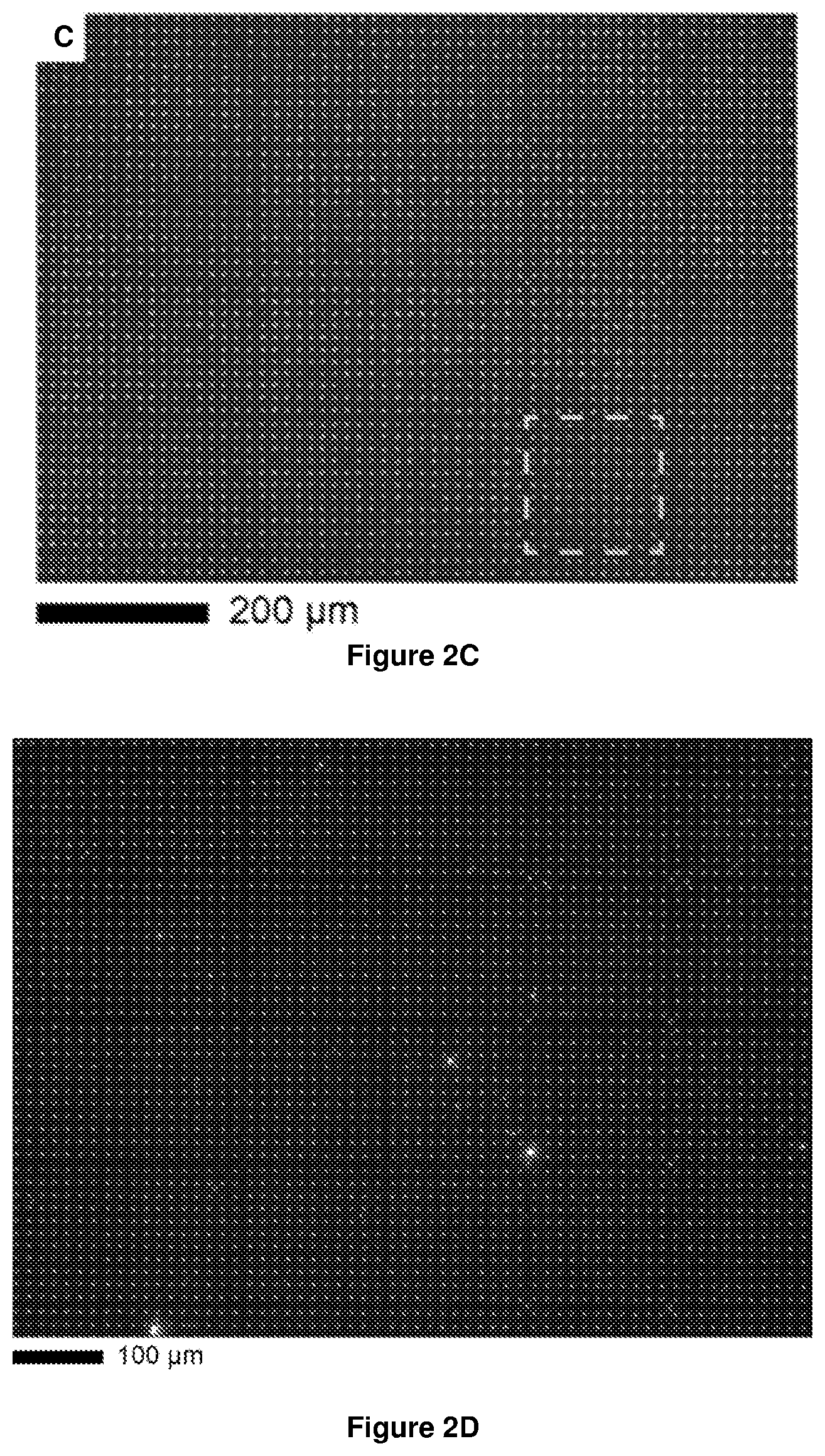 Patent US12612314 Figure 2 – Halide perovskite nanocrystal array and its preparation
