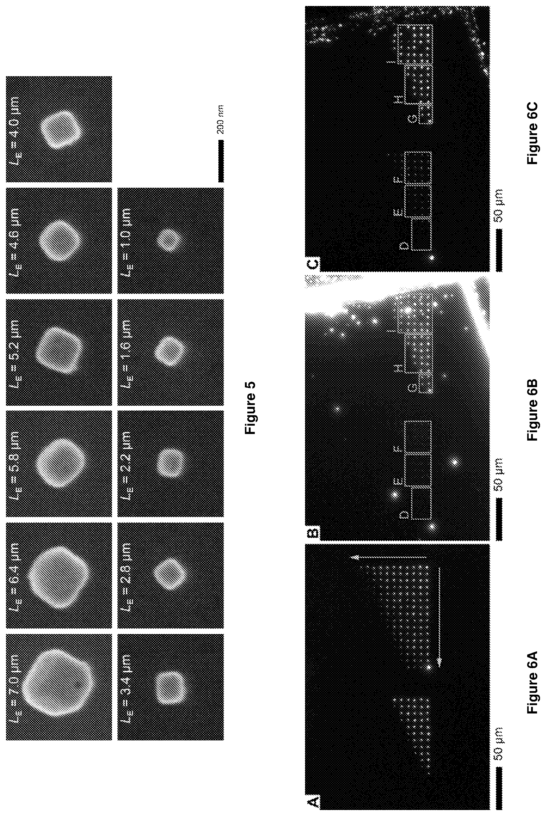 Patent US12612314 Figure 8 – Halide perovskite nanocrystal array and its preparation