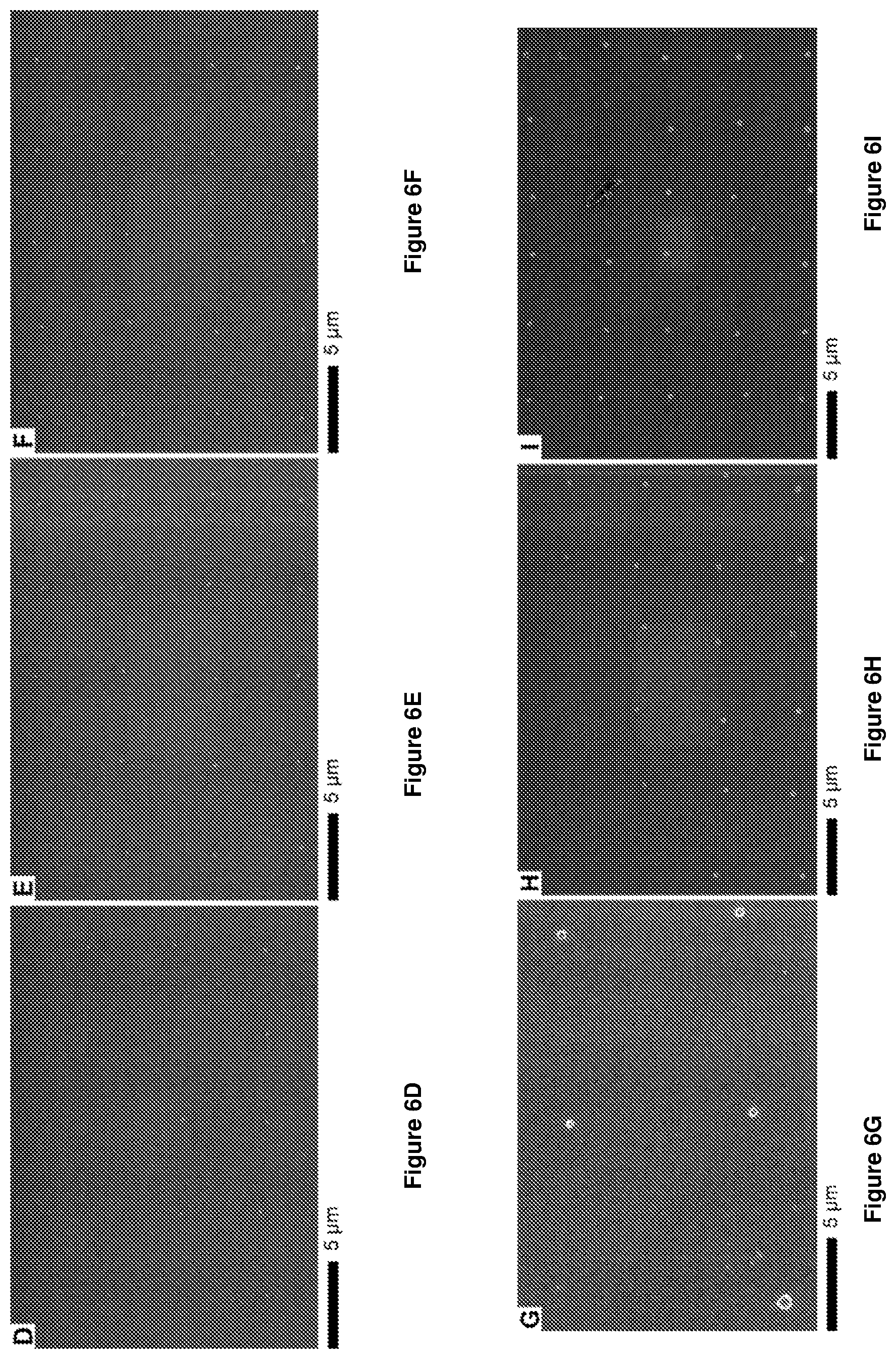 Patent US12612314 Figure 9 – Halide perovskite nanocrystal array and its preparation
