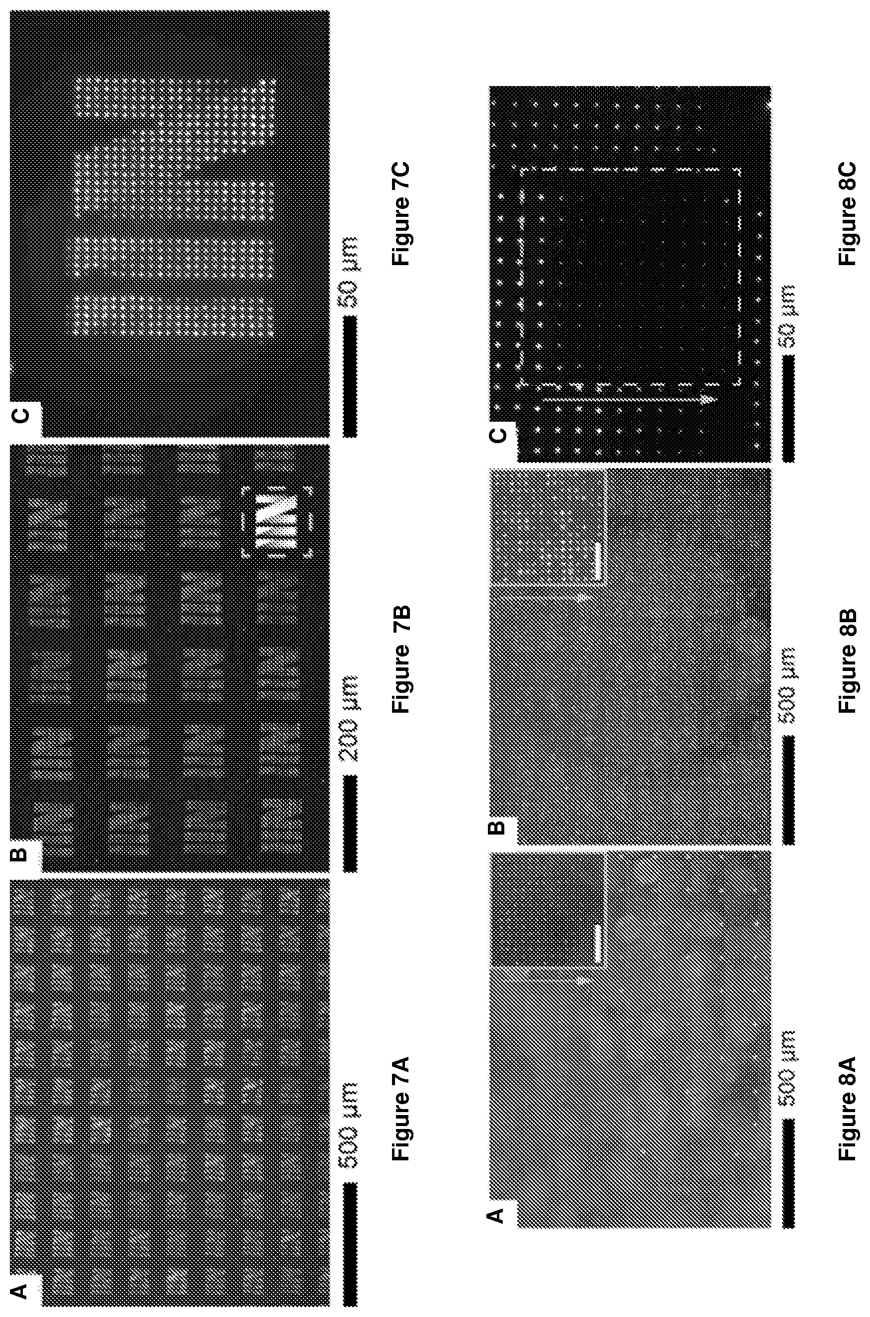 Patent US12612314 Figure 10 – Halide perovskite nanocrystal array and its preparation