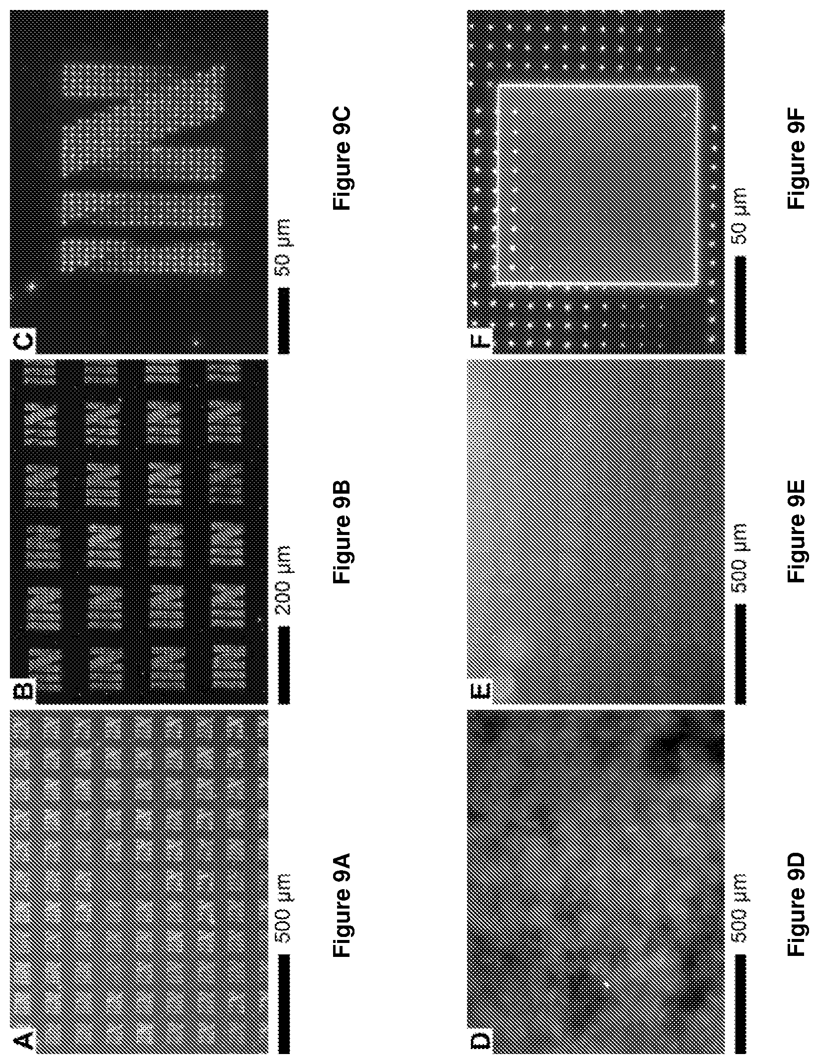 Patent US12612314 Figure 11 – Halide perovskite nanocrystal array and its preparation