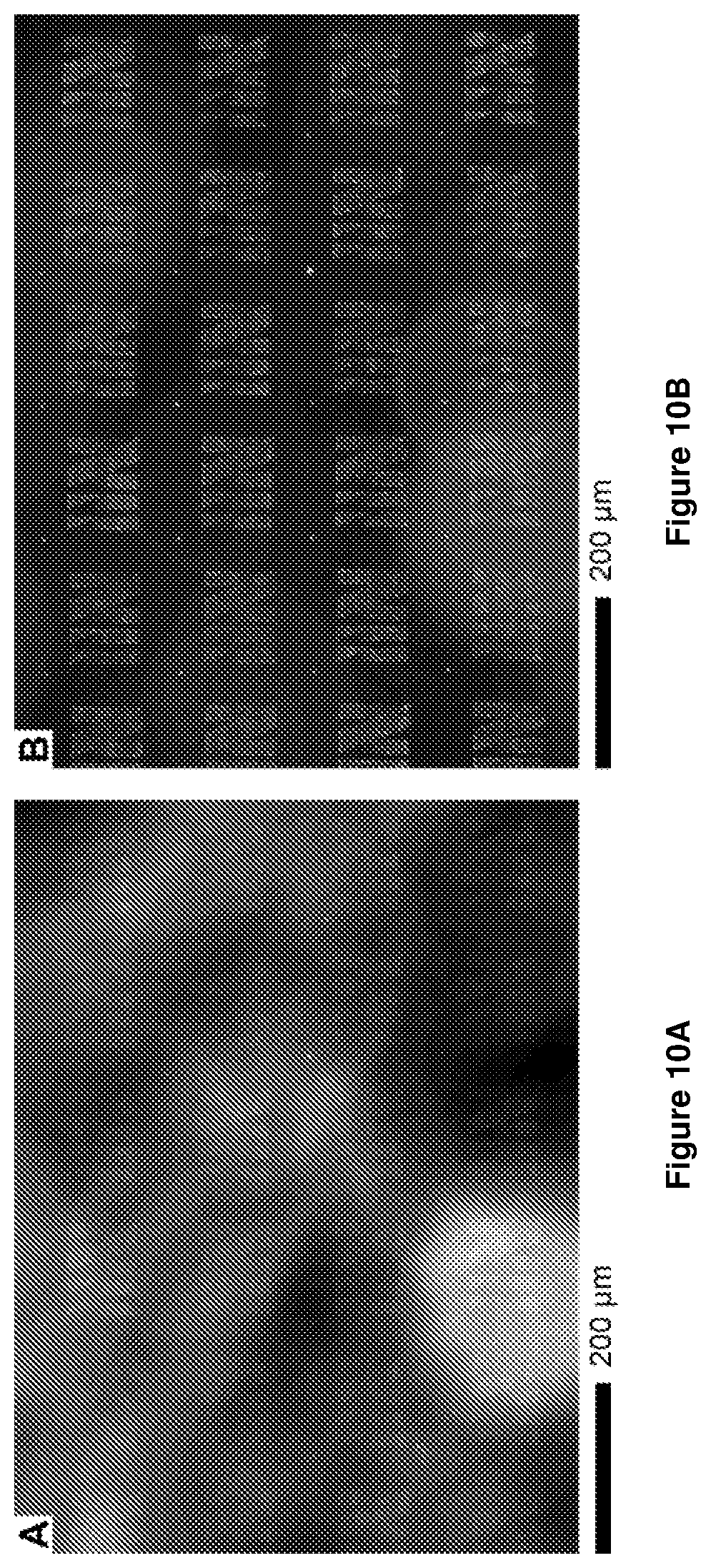 Patent US12612314 Figure 12 – Halide perovskite nanocrystal array and its preparation