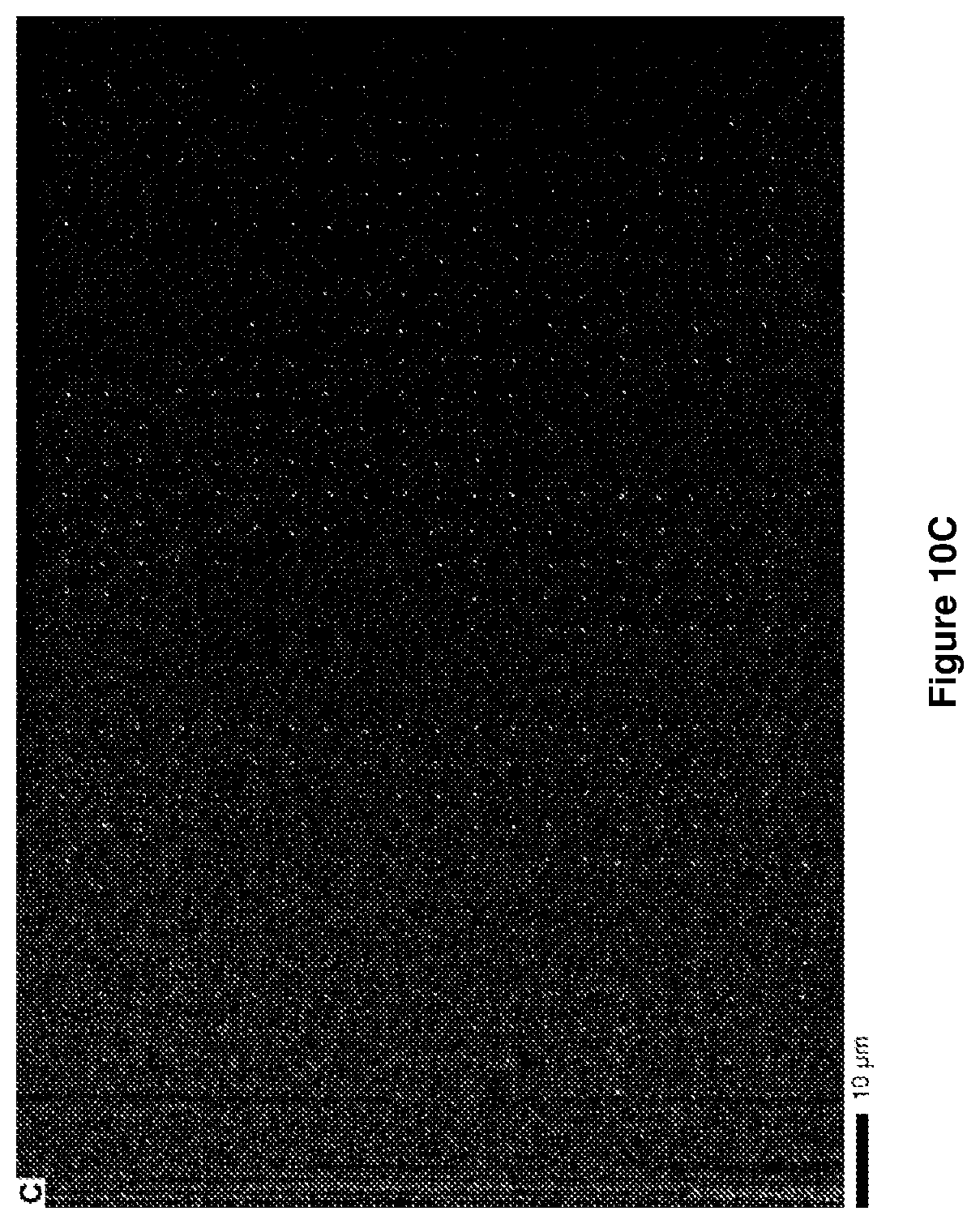 Patent US12612314 Figure 13 – Halide perovskite nanocrystal array and its preparation