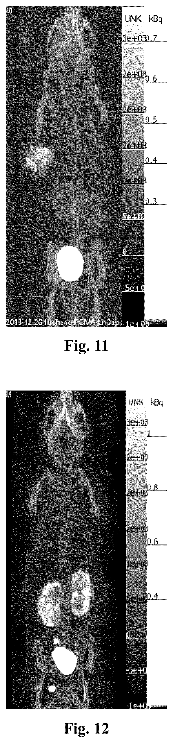 Patent US12612343 Figure 6 – PSMA binder and use thereof