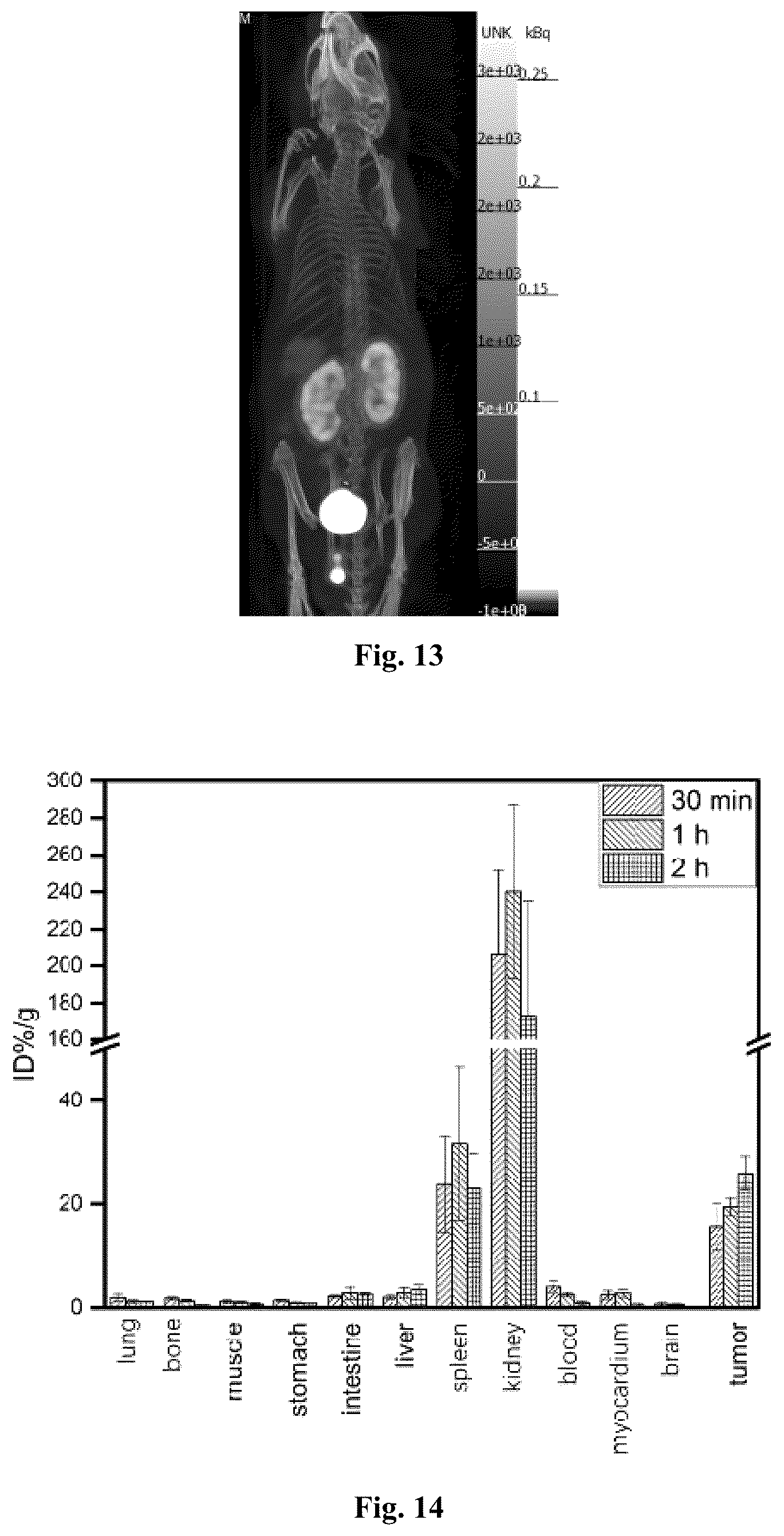 Patent US12612343 Figure 7 – PSMA binder and use thereof