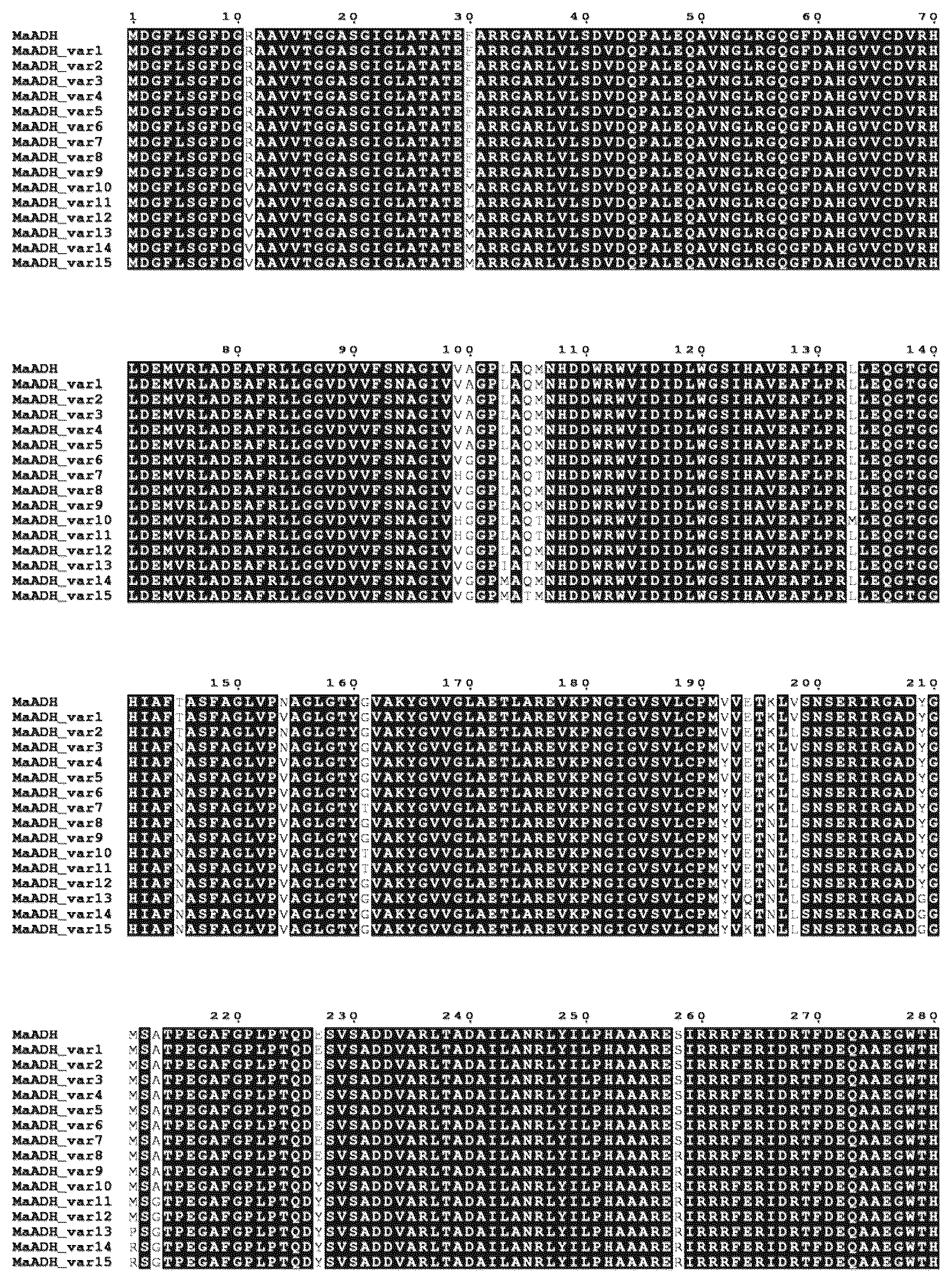 Patent US12612353 — Method for the production of musk fragrance ingredient — Figure 1
