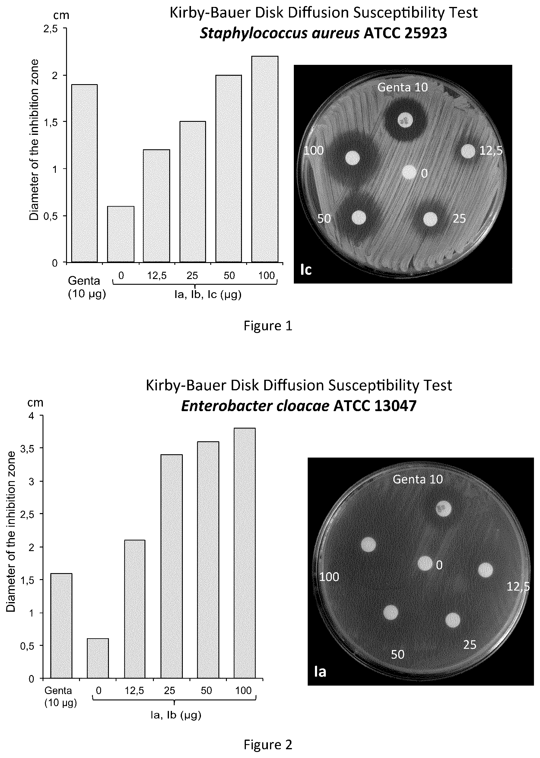 Patent US12612354 Figure 1 – Cyclopentenones derivatives and their use as antibiotics