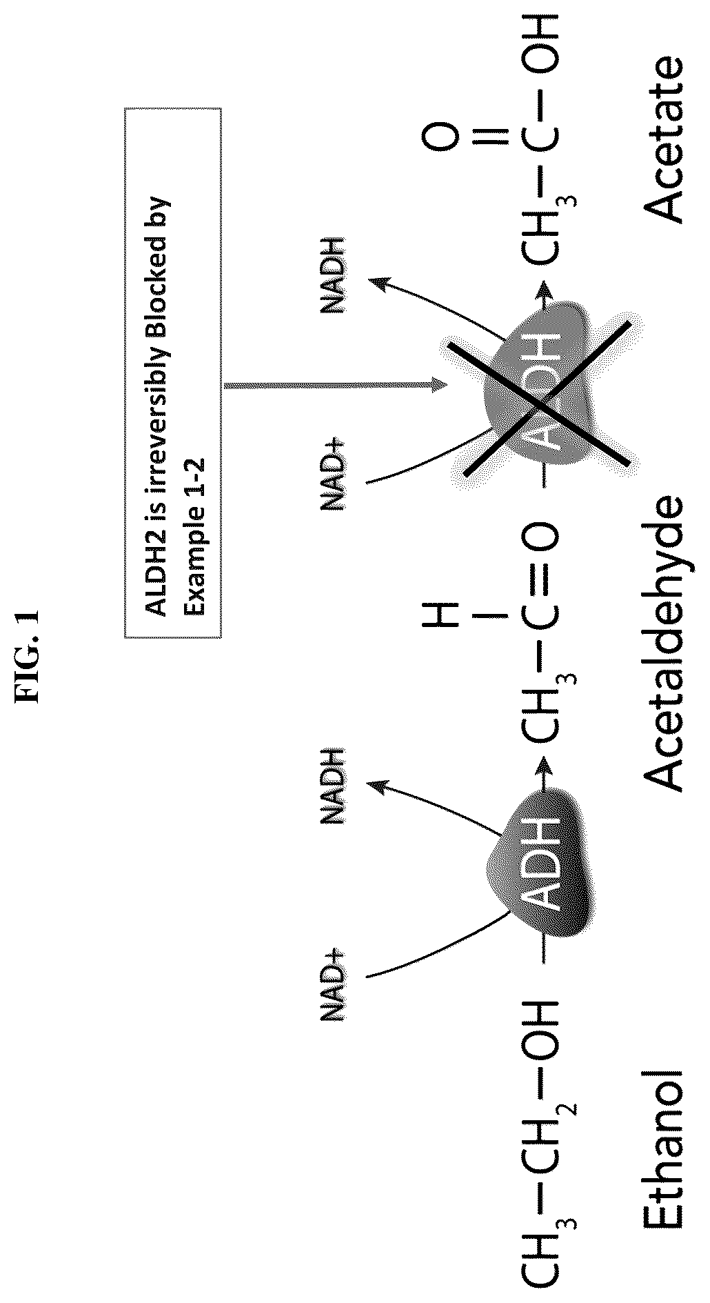 Patent US12612365 Figure 1 – Compounds and methods for treating alcohol disorder