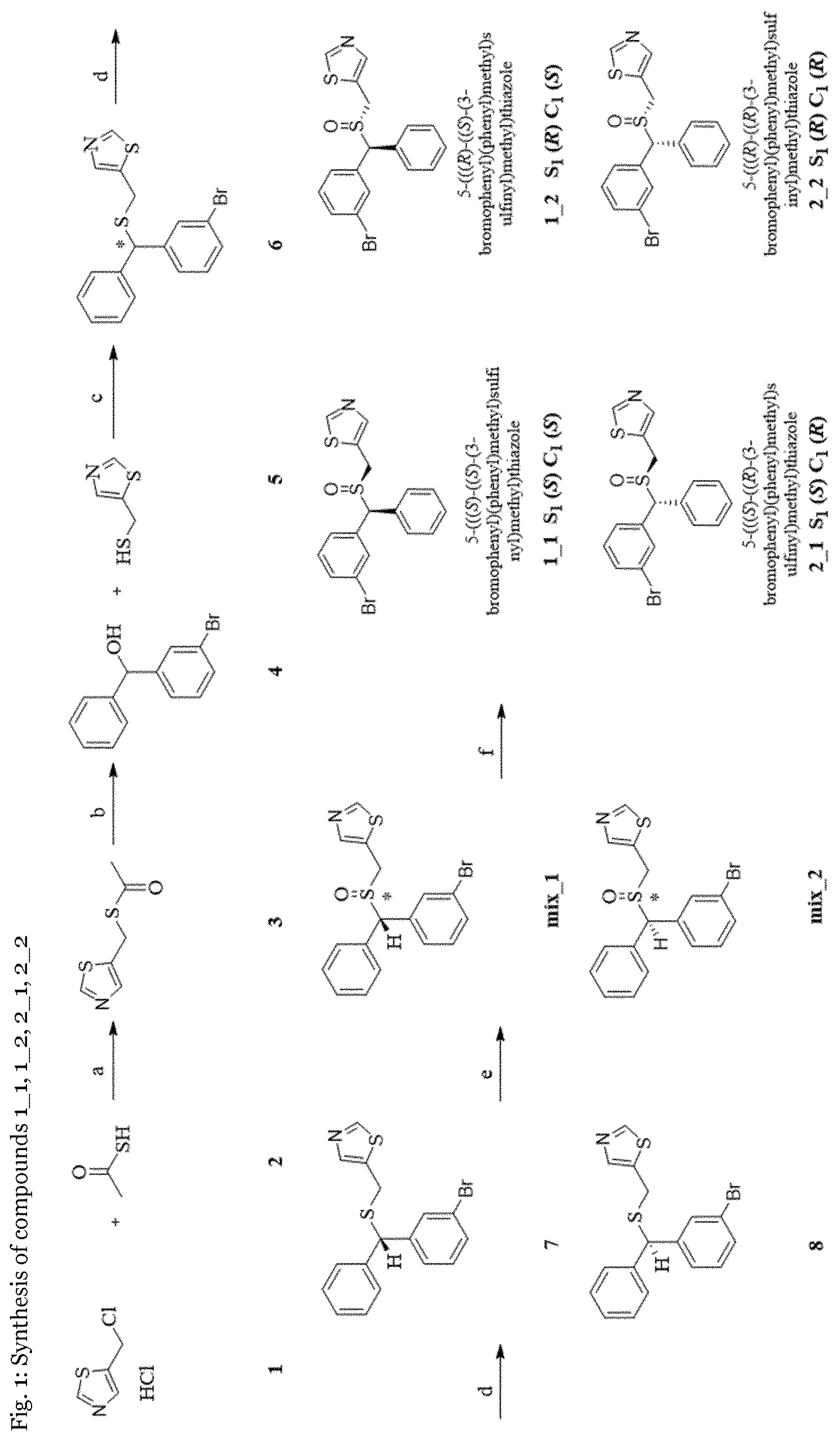 Patent US12612374 Figure 1 – Thiazole and diphenyl substituted sulfoxides for use in improving cognition functions and against addictions to substances