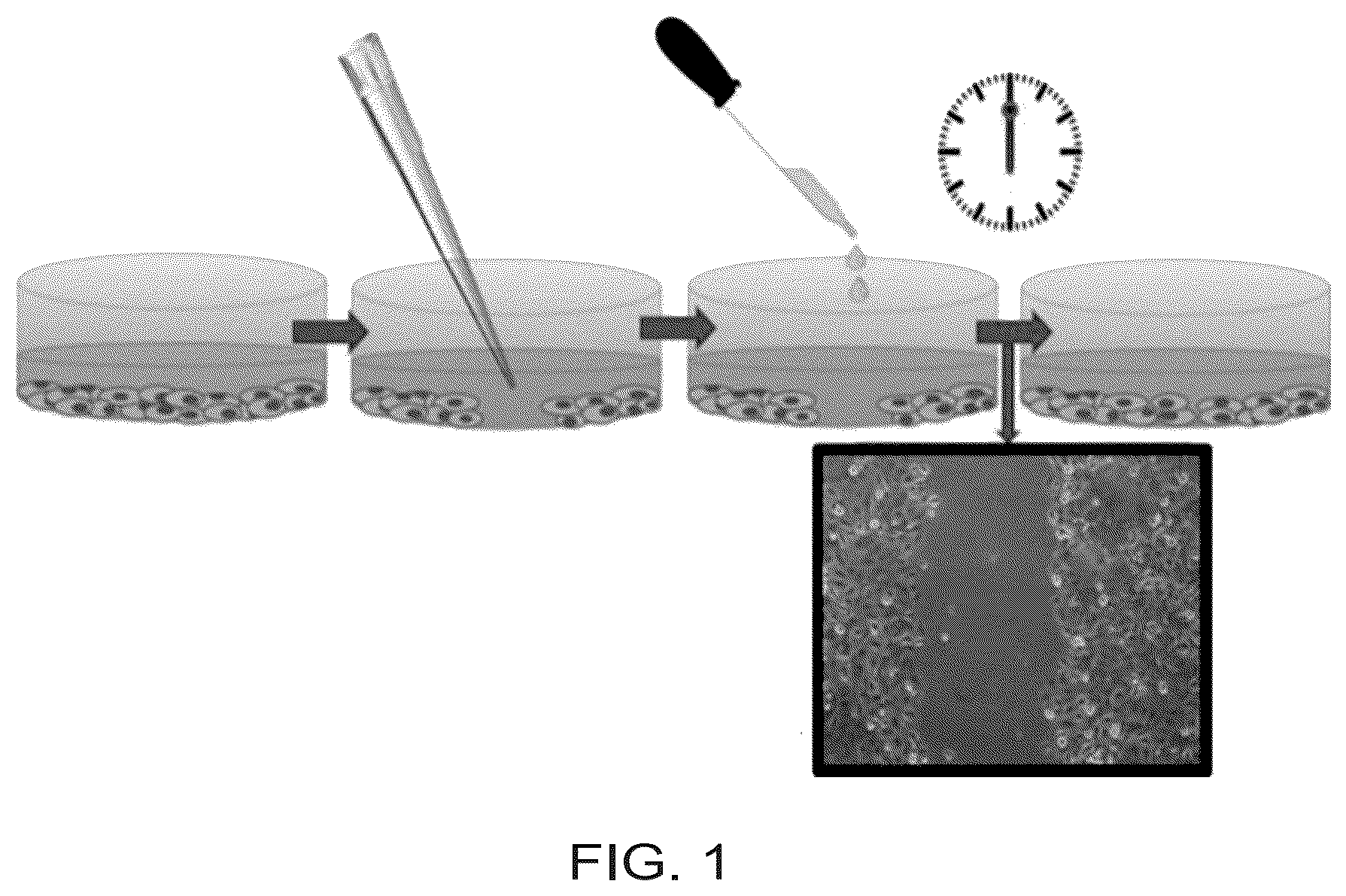 Patent US12612375 Figure 1 – Antimicrobial and anticancer agents