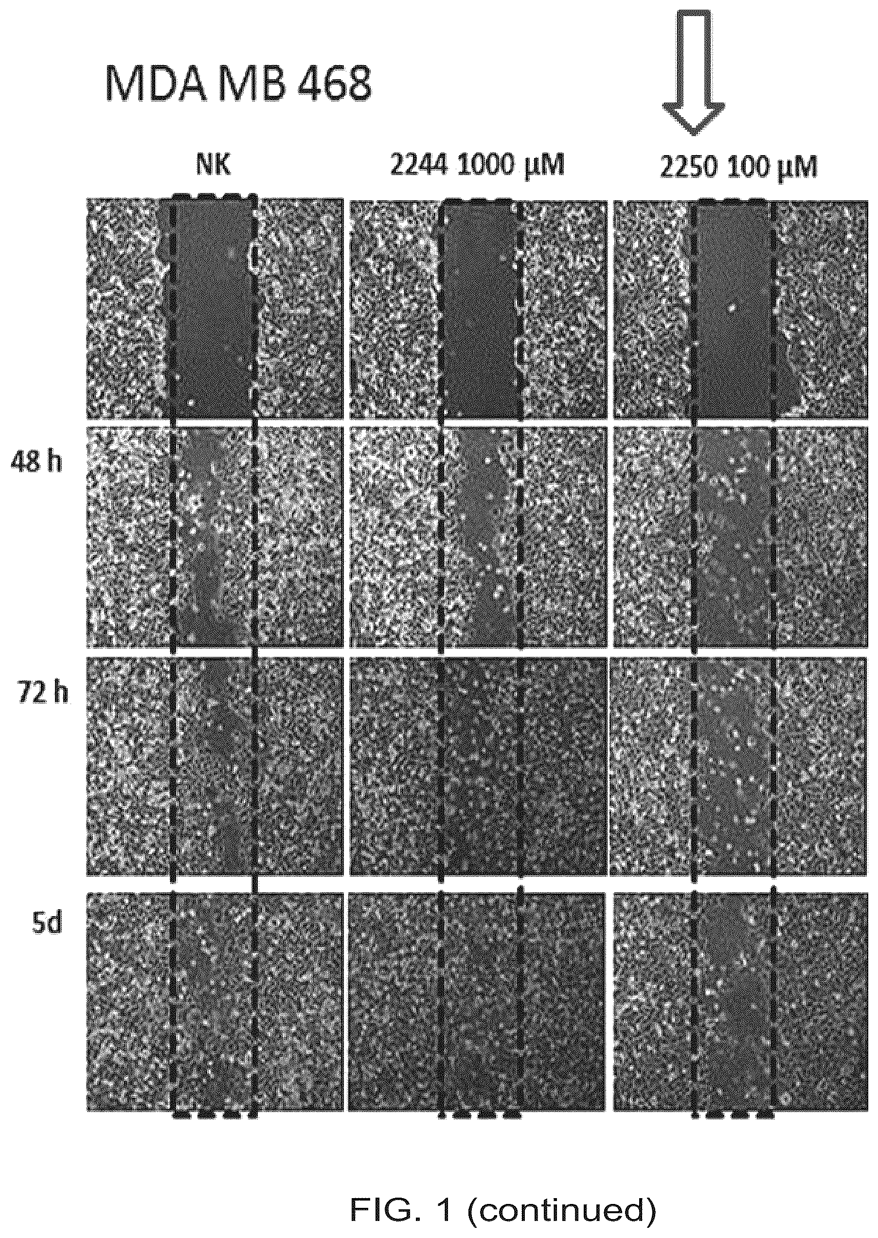 Patent US12612375 Figure 2 – Antimicrobial and anticancer agents