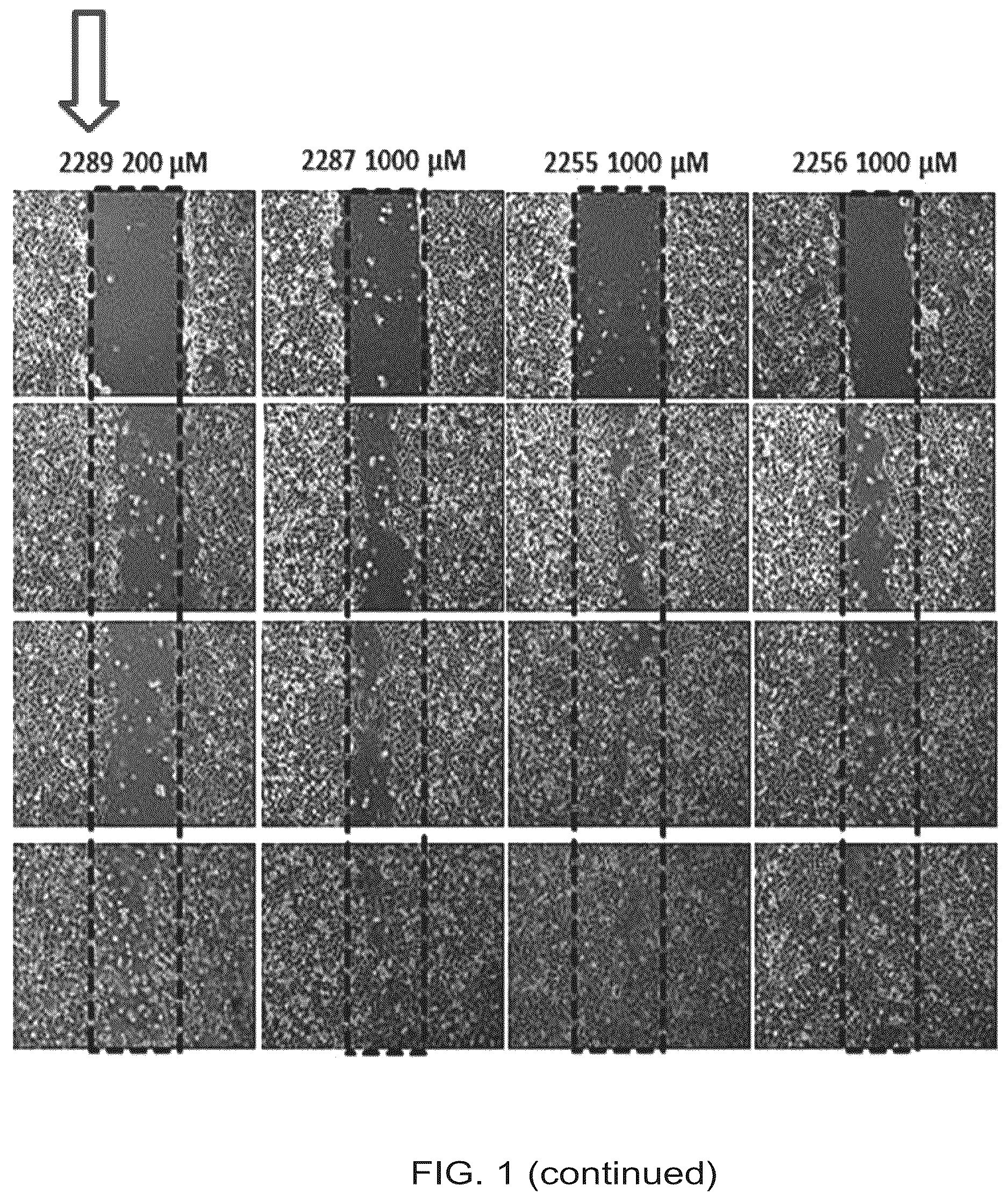 Patent US12612375 Figure 3 – Antimicrobial and anticancer agents
