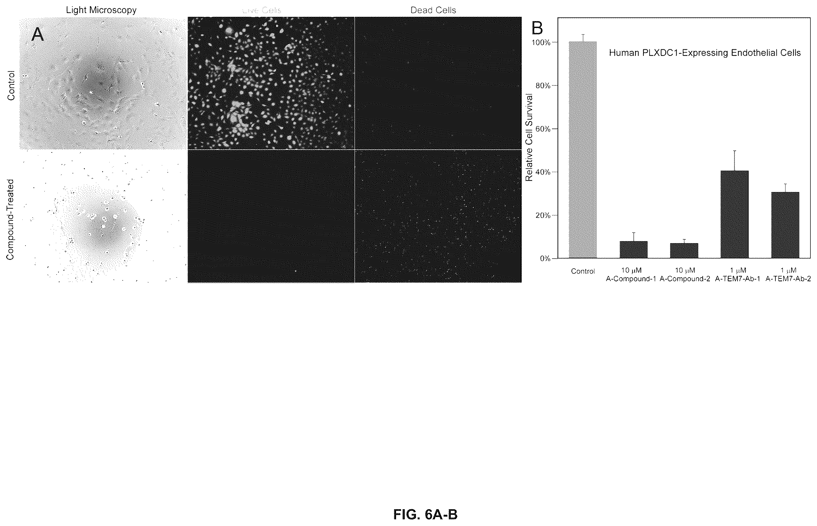 Patent US12612385 Figure 6 – Compounds and methods for targeting pathogenic blood vessels