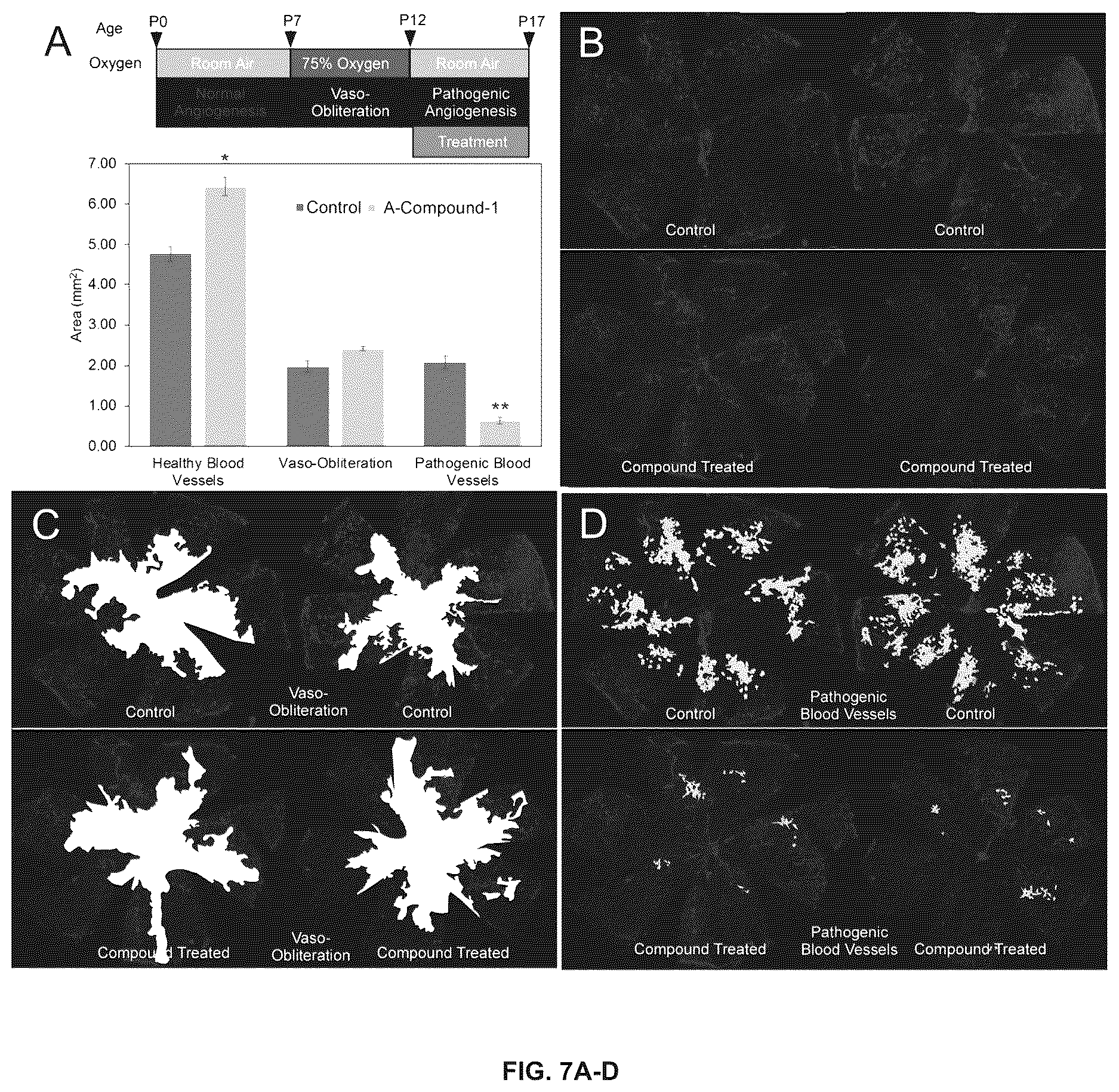 Patent US12612385 Figure 7 – Compounds and methods for targeting pathogenic blood vessels