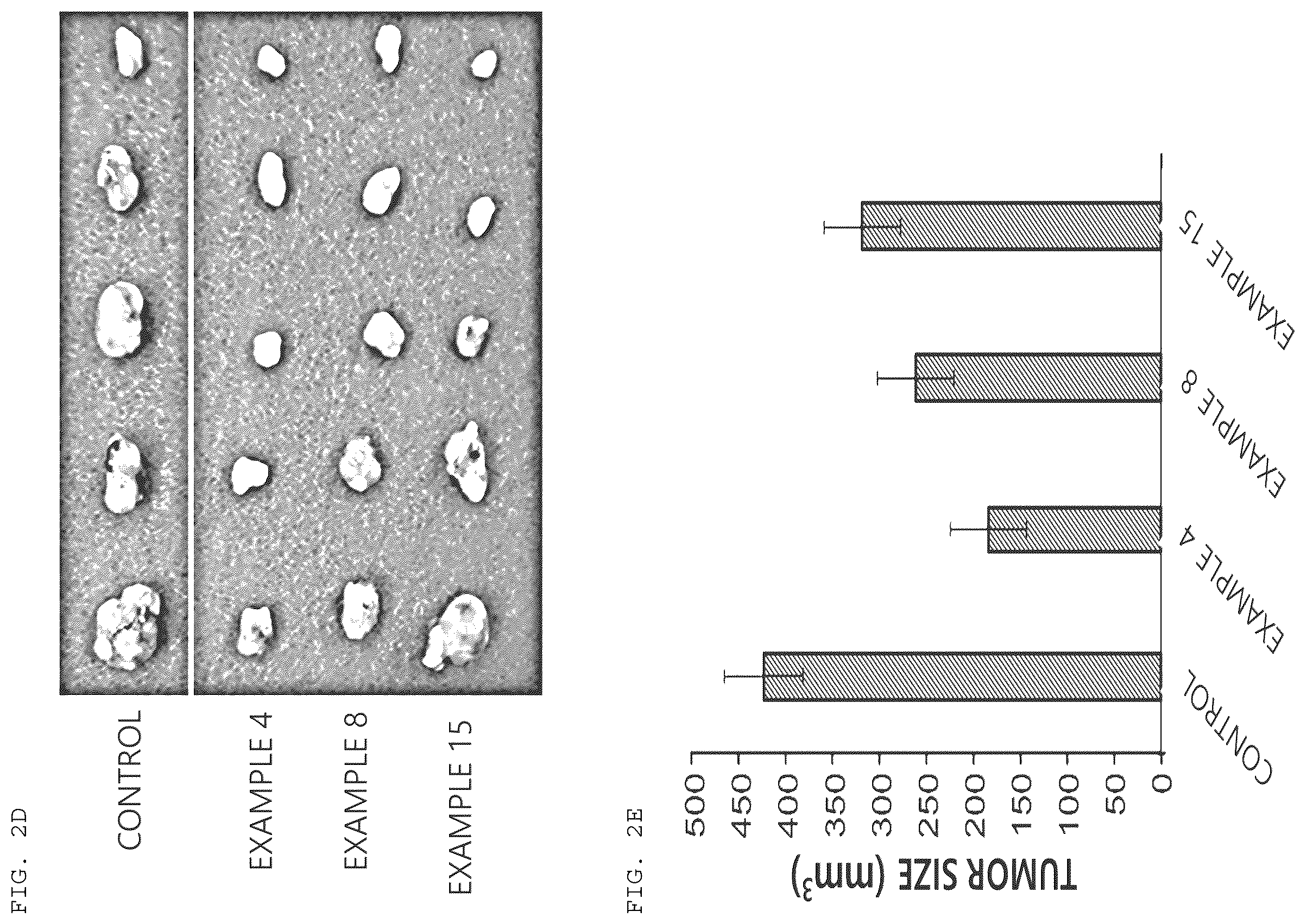 Patent US12612389 Figure 3 – Benzofuran-based N-acylhydrazone derivative and pharmaceutical composition comprising same