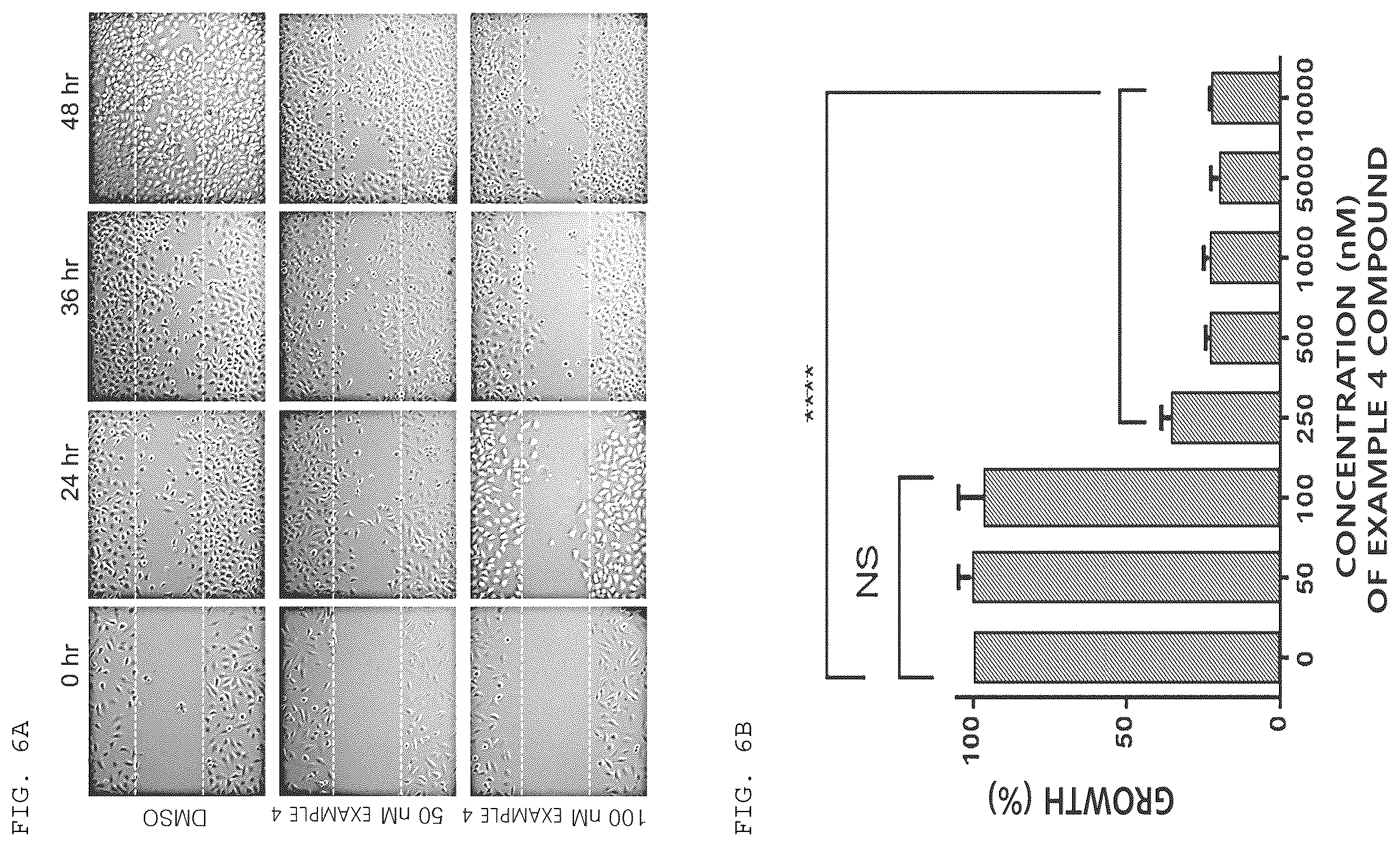 Patent US12612389 Figure 11 – Benzofuran-based N-acylhydrazone derivative and pharmaceutical composition comprising same