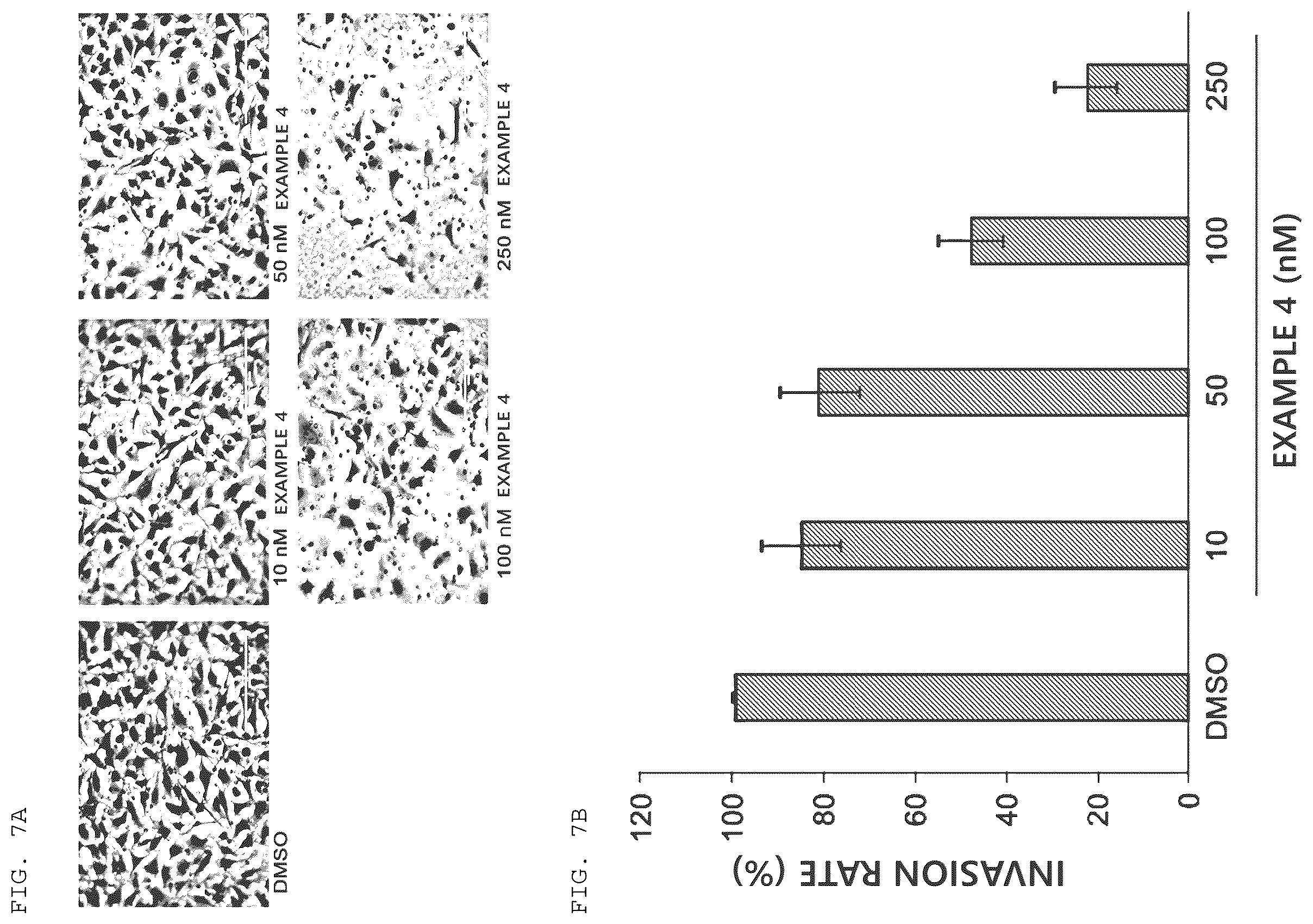 Patent US12612389 Figure 12 – Benzofuran-based N-acylhydrazone derivative and pharmaceutical composition comprising same