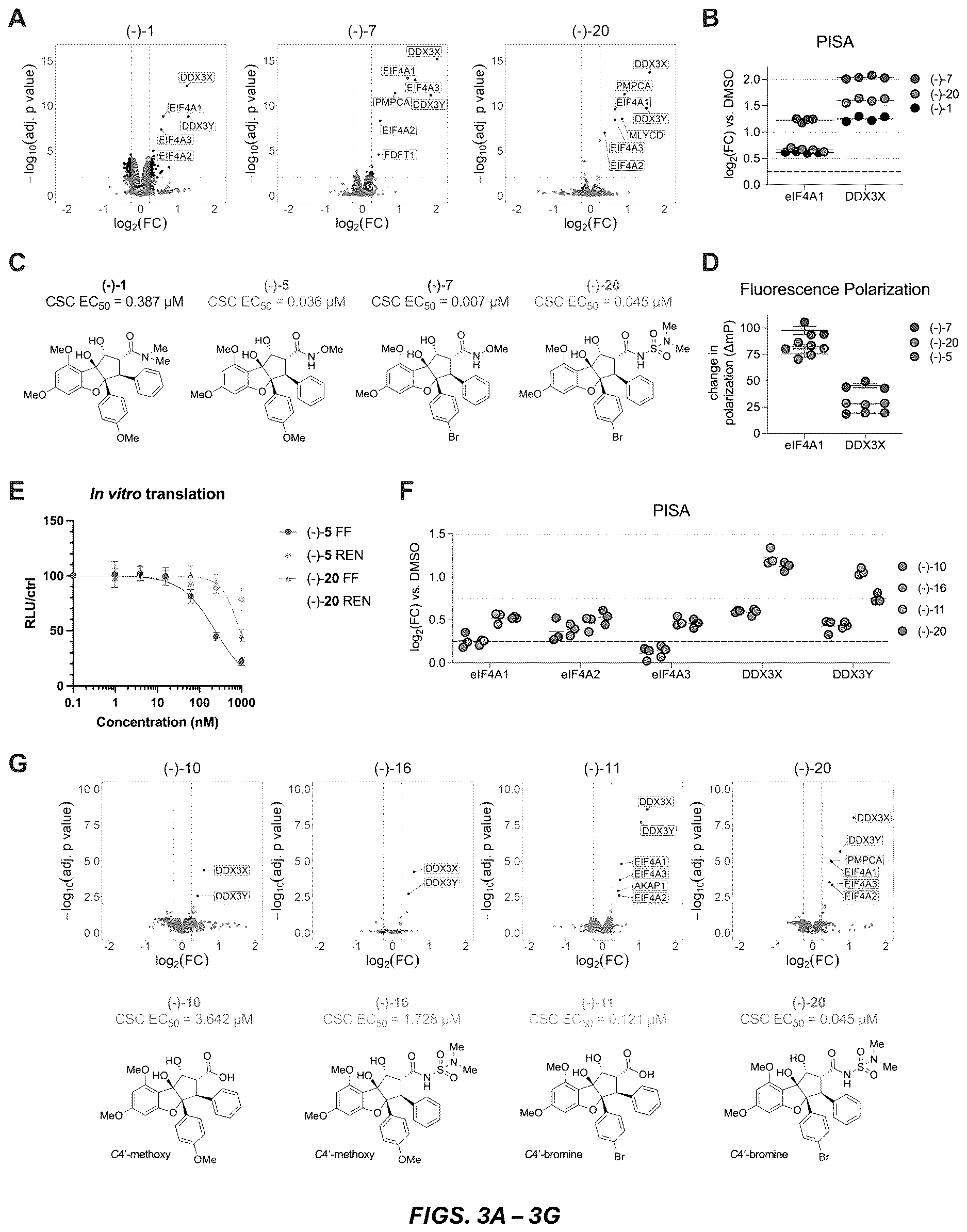 Patent US12612395 Figure 3 – Rocaglate derivatives and uses thereof