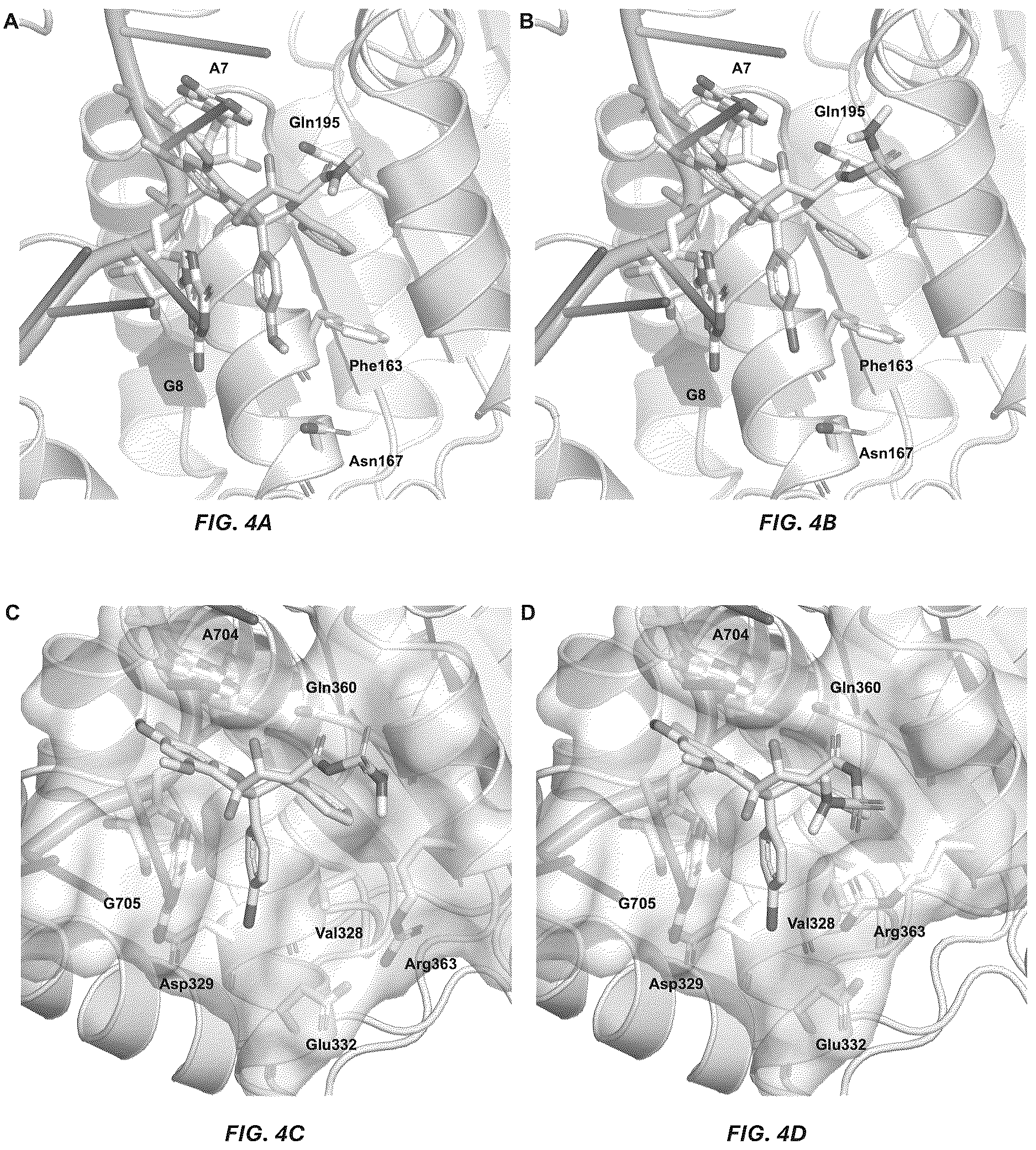 Patent US12612395 Figure 4 – Rocaglate derivatives and uses thereof