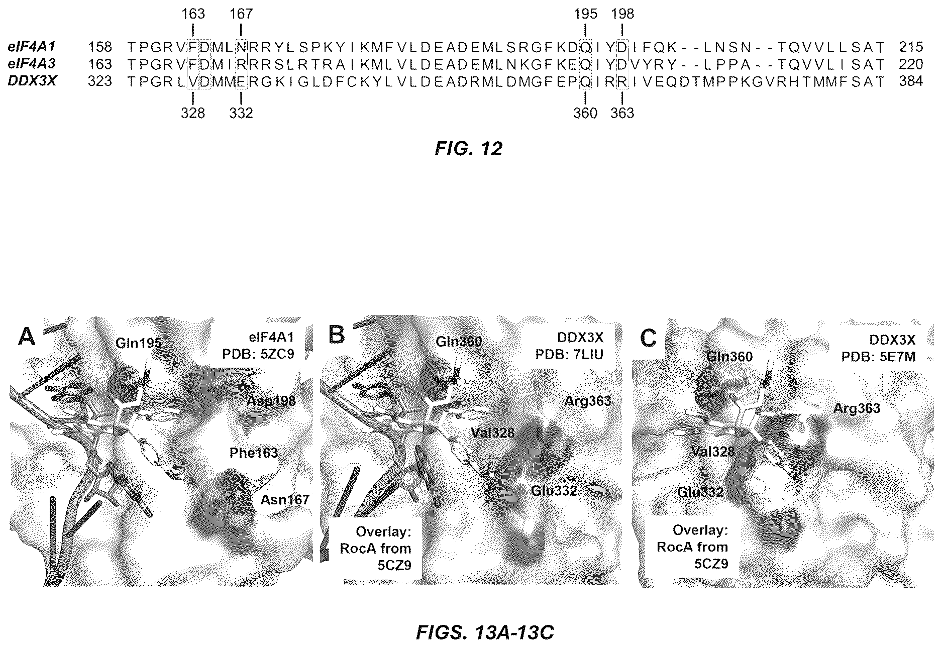 Patent US12612395 Figure 10 – Rocaglate derivatives and uses thereof