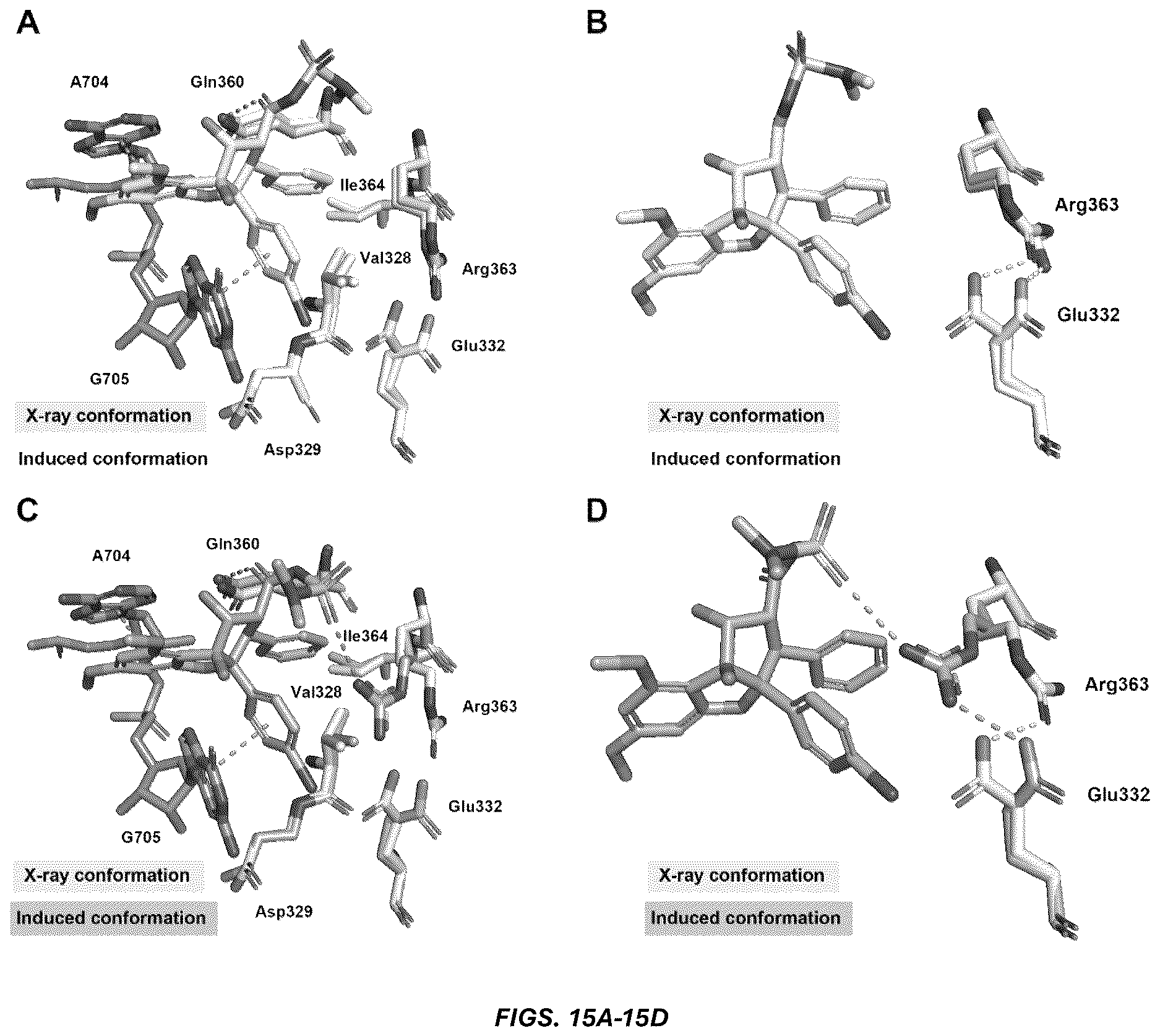 Patent US12612395 Figure 12 – Rocaglate derivatives and uses thereof