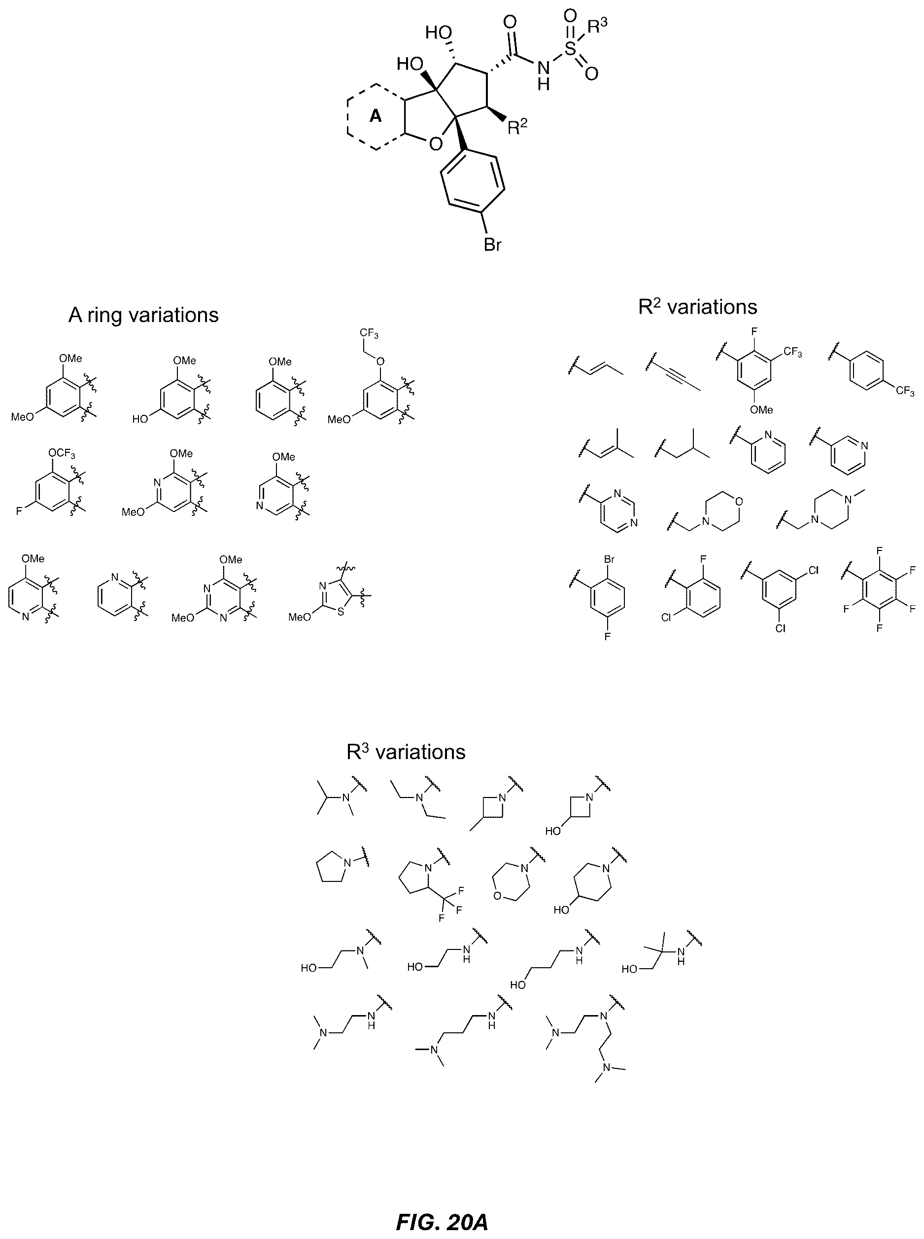 Patent US12612395 Figure 20 – Rocaglate derivatives and uses thereof