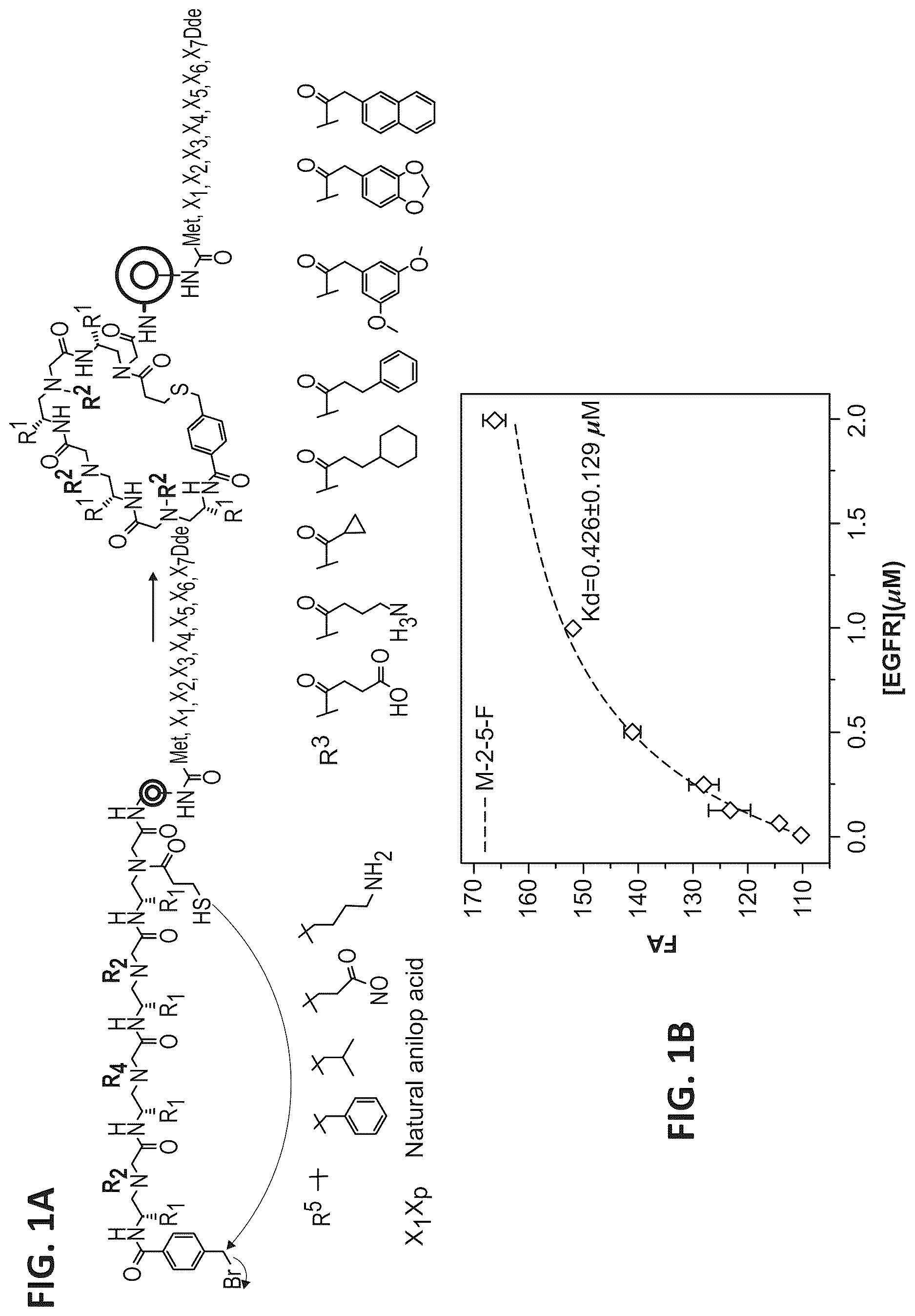 Patent US12612431 Figure 1 – Cyclic compounds for treating cancer