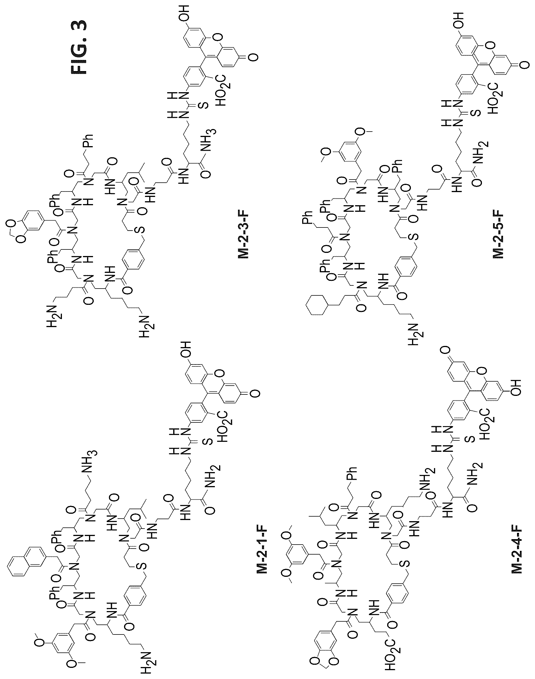 Patent US12612431 Figure 3 – Cyclic compounds for treating cancer