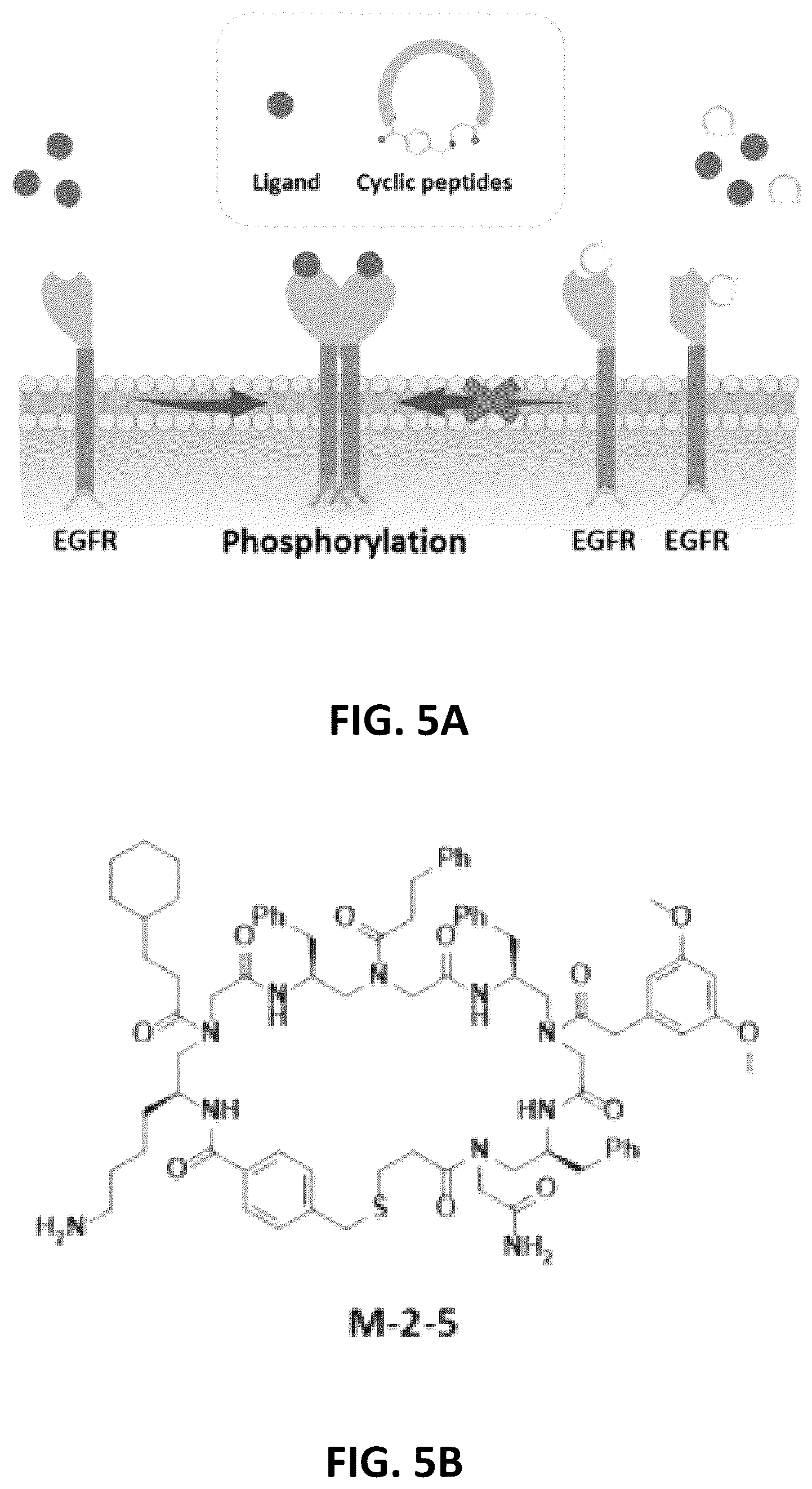 Patent US12612431 Figure 6 – Cyclic compounds for treating cancer