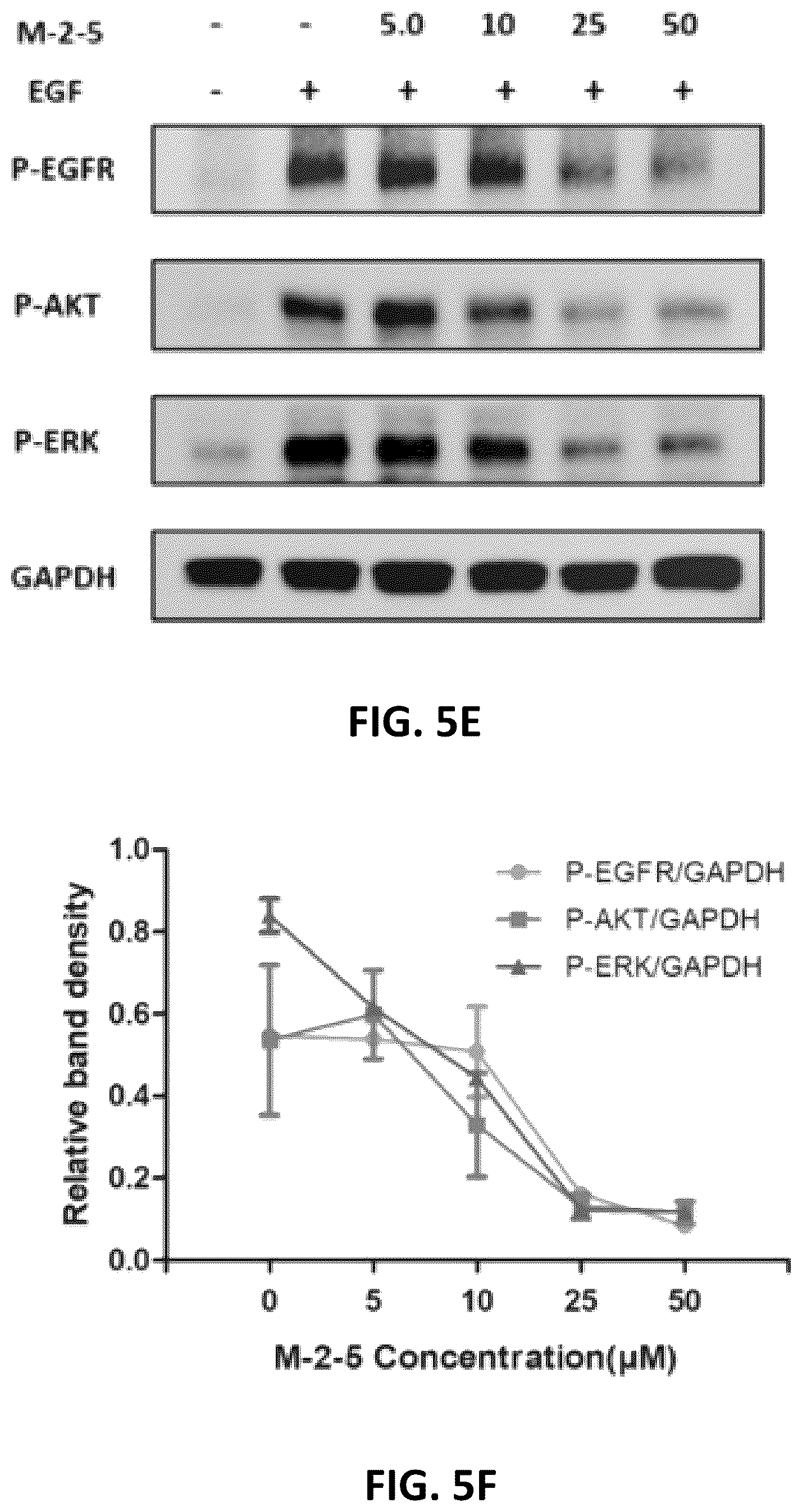 Patent US12612431 Figure 8 – Cyclic compounds for treating cancer