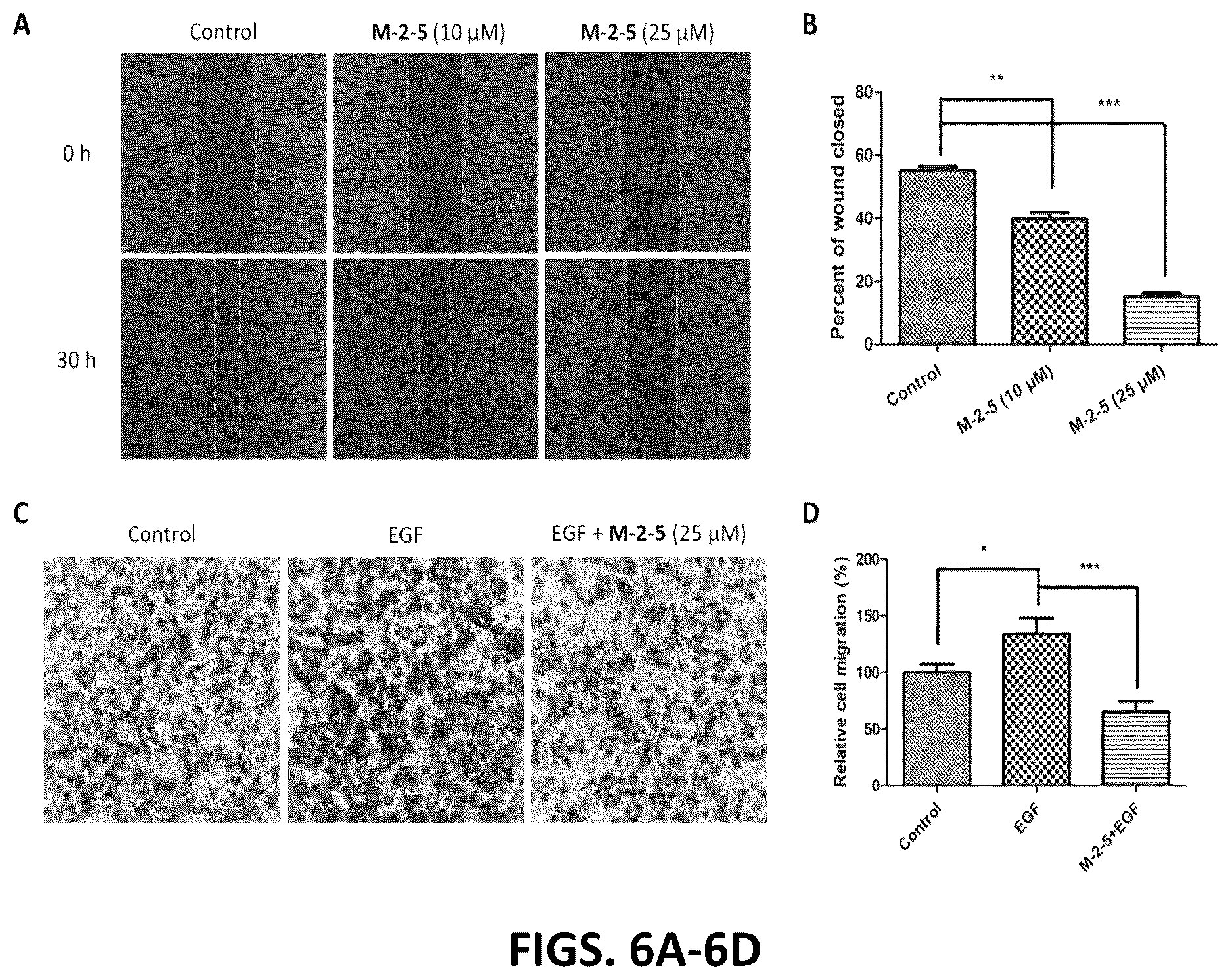 Patent US12612431 Figure 10 – Cyclic compounds for treating cancer