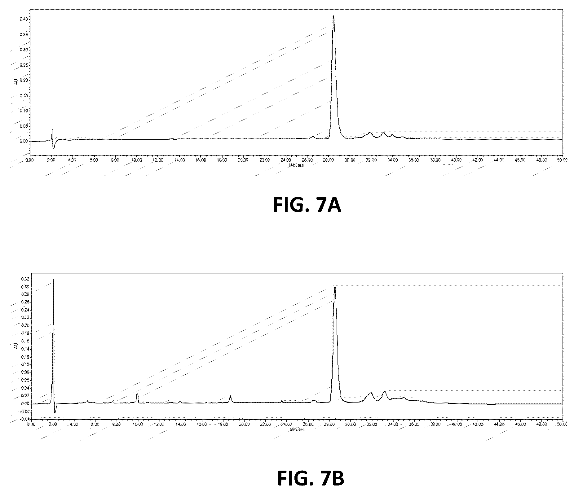 Patent US12612431 Figure 11 – Cyclic compounds for treating cancer