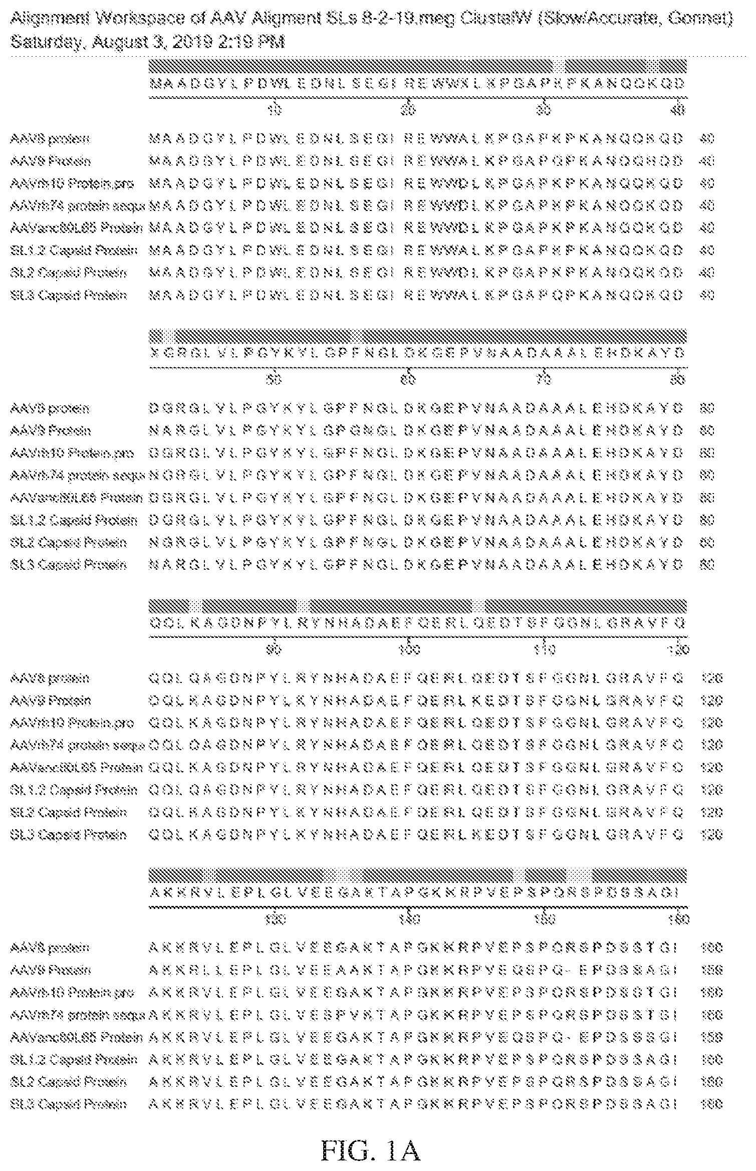 Patent US12612432 Figure 1 – AAV capsid variants for gene therapy