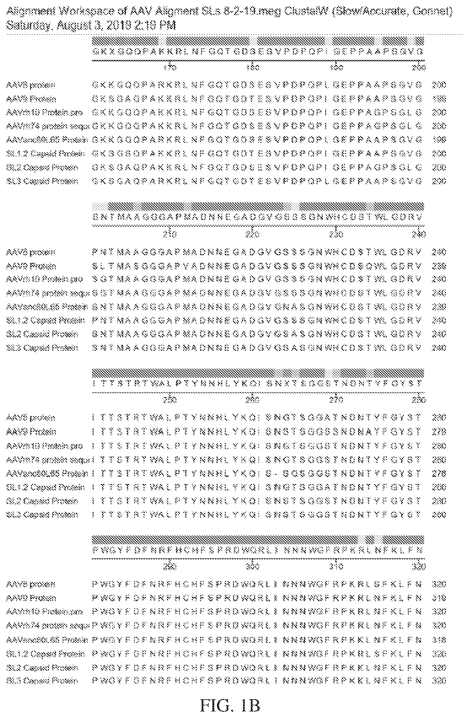 Patent US12612432 Figure 2 – AAV capsid variants for gene therapy
